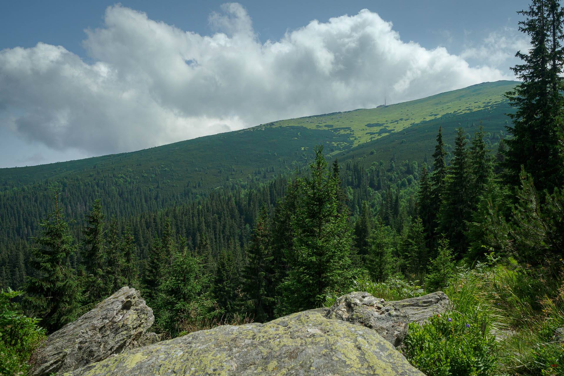 Kráľova hoľa z Liptovskej Tepličky (Nízke Tatry)