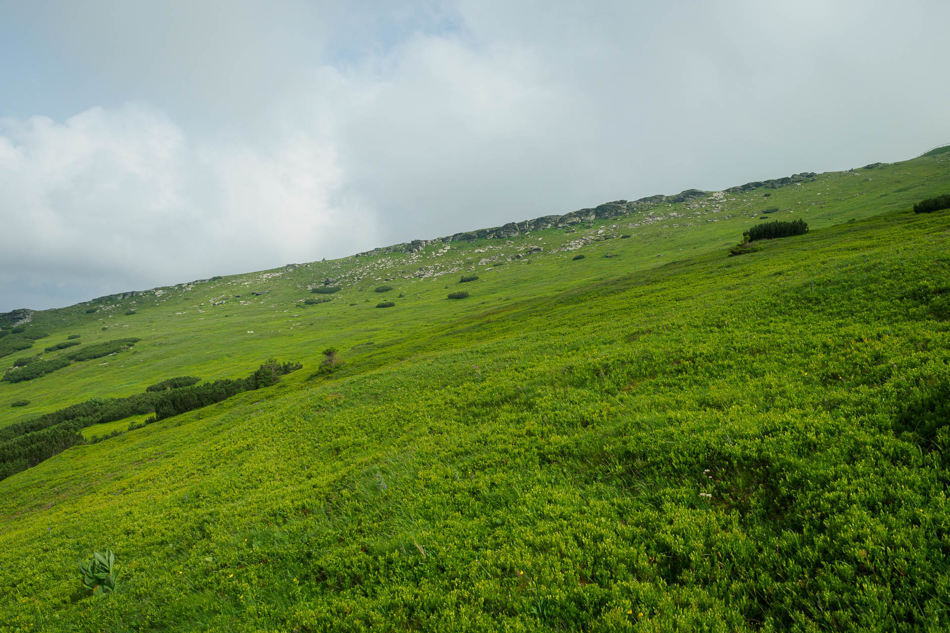 Kráľova hoľa z Liptovskej Tepličky (Nízke Tatry)