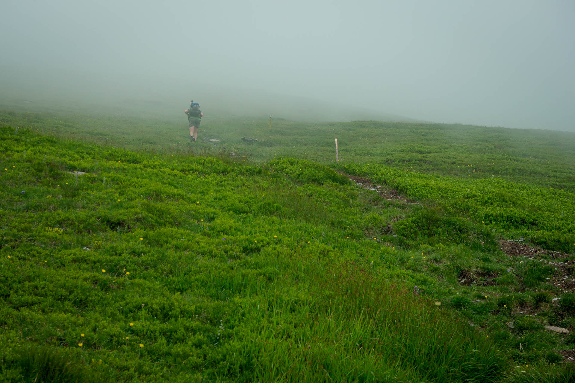 Kráľova hoľa z Liptovskej Tepličky (Nízke Tatry)