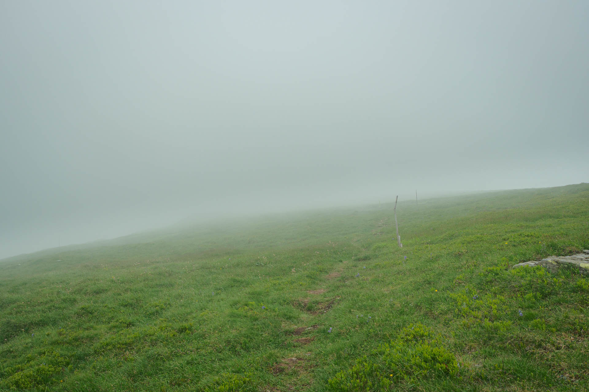 Kráľova hoľa z Liptovskej Tepličky (Nízke Tatry)