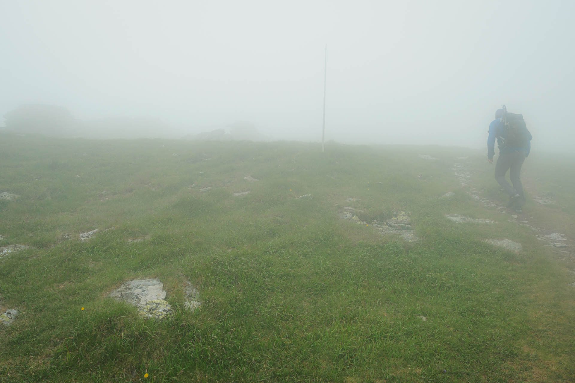 Kráľova hoľa z Liptovskej Tepličky (Nízke Tatry)