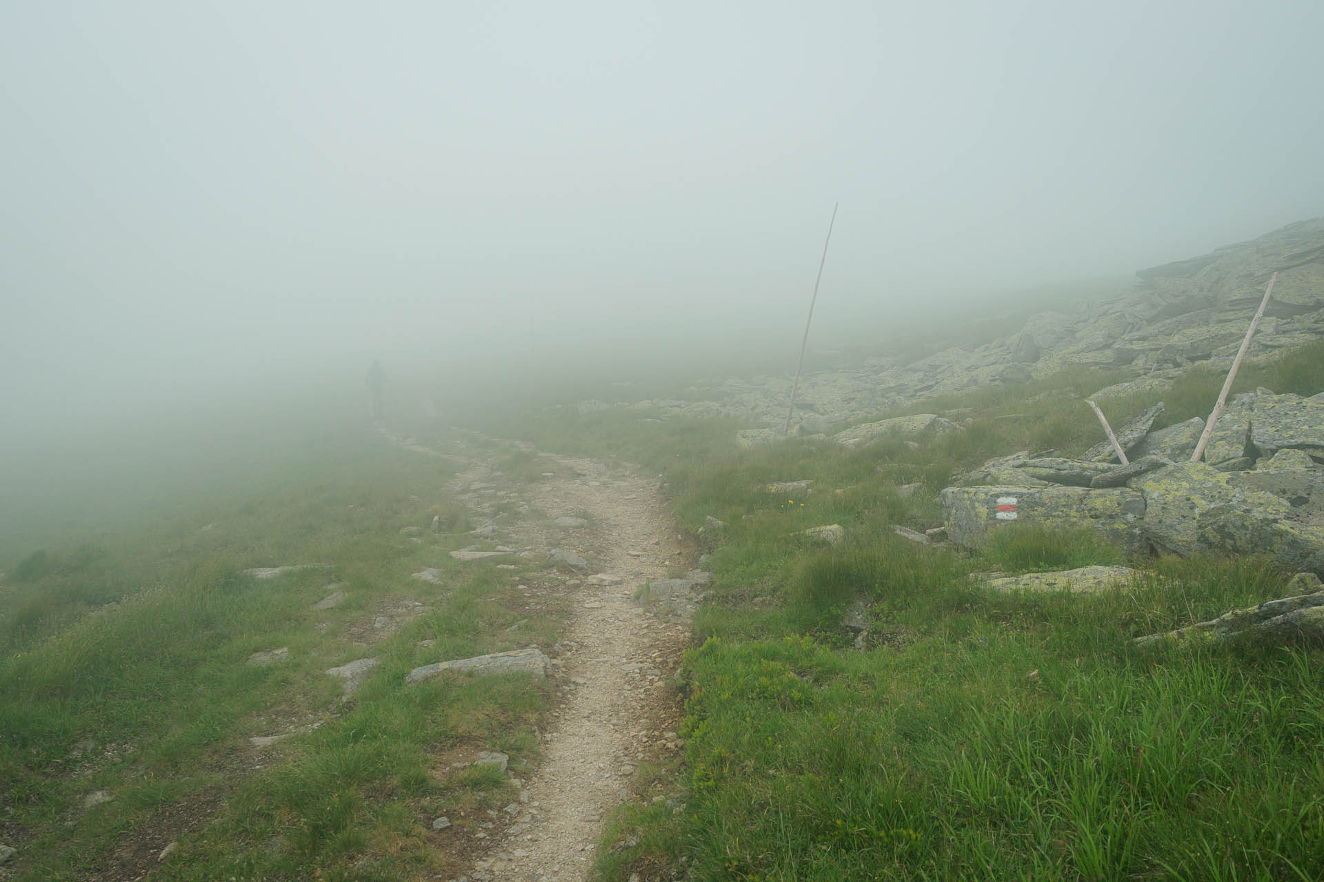 Kráľova hoľa z Liptovskej Tepličky (Nízke Tatry)