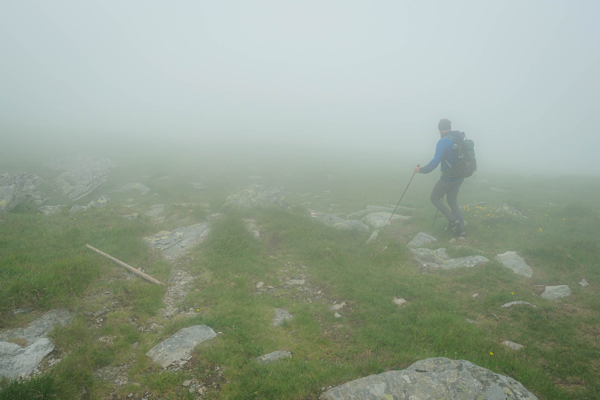 Kráľova hoľa z Liptovskej Tepličky (Nízke Tatry)