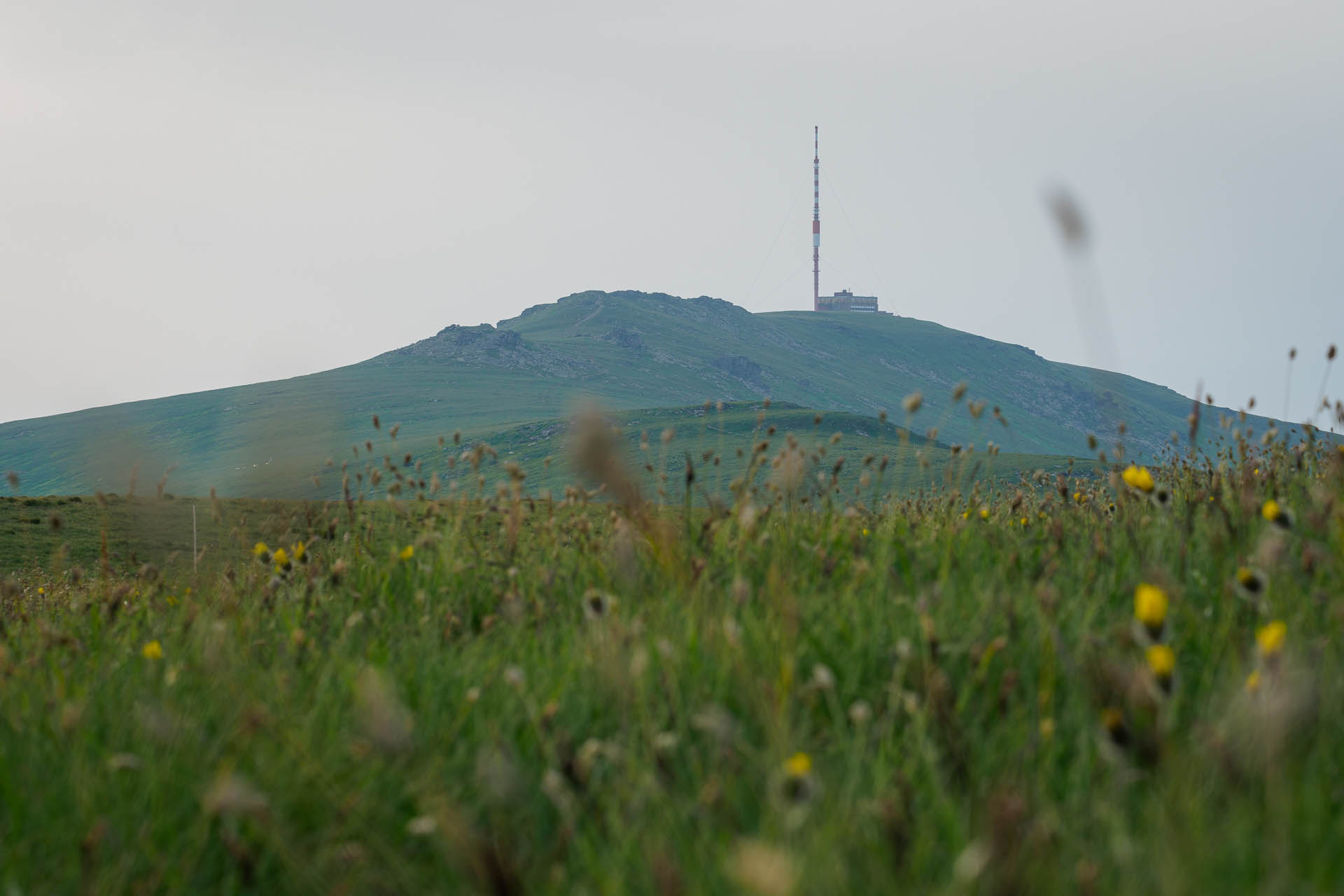 Kráľova hoľa z Liptovskej Tepličky (Nízke Tatry)