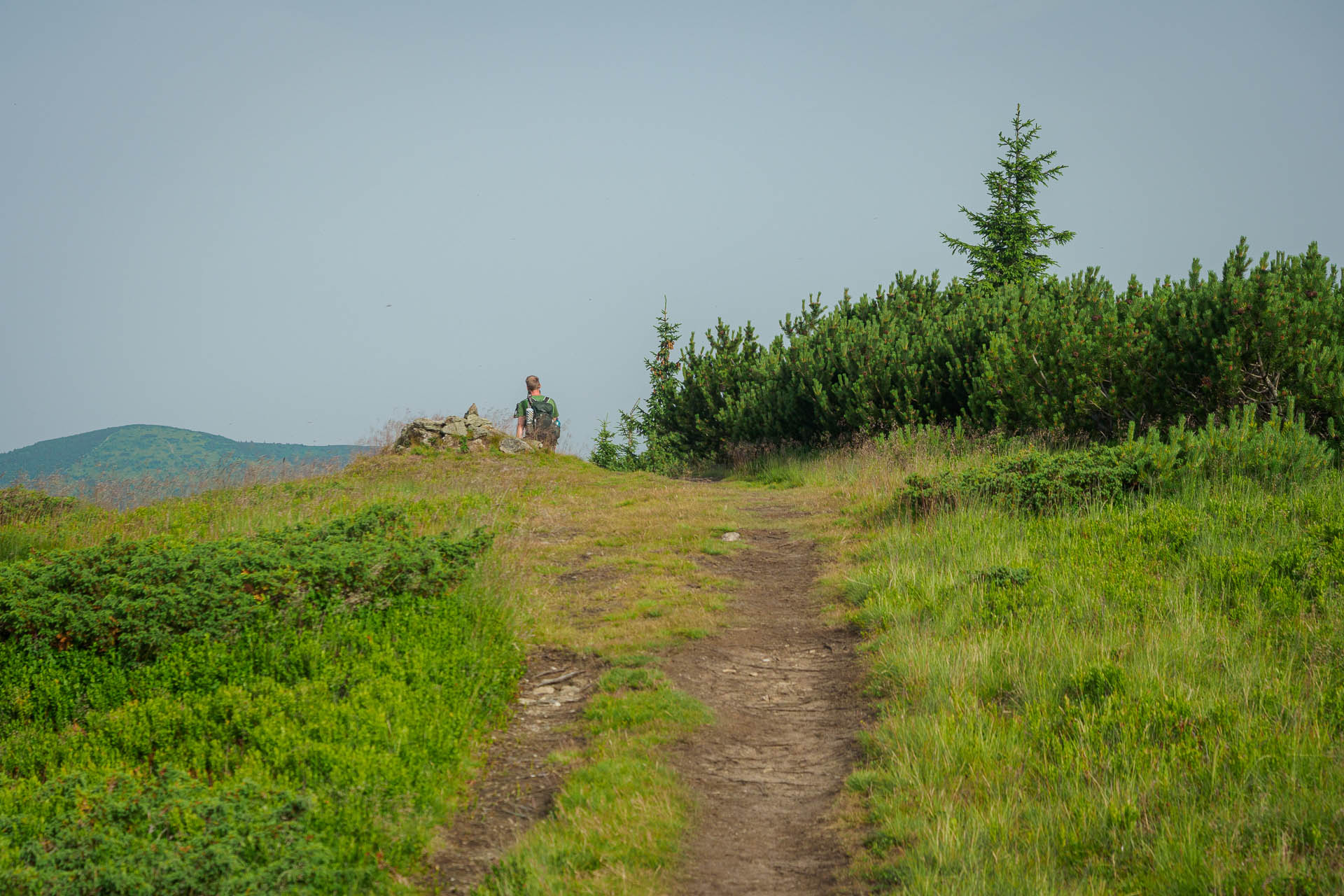 Kráľova hoľa z Liptovskej Tepličky (Nízke Tatry)