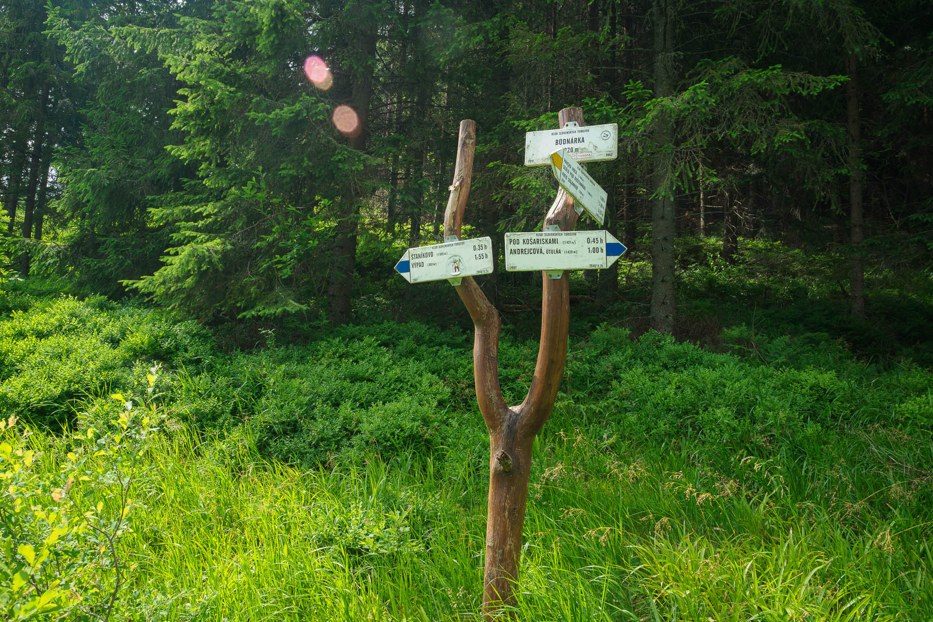 Kráľova hoľa z Liptovskej Tepličky (Nízke Tatry)