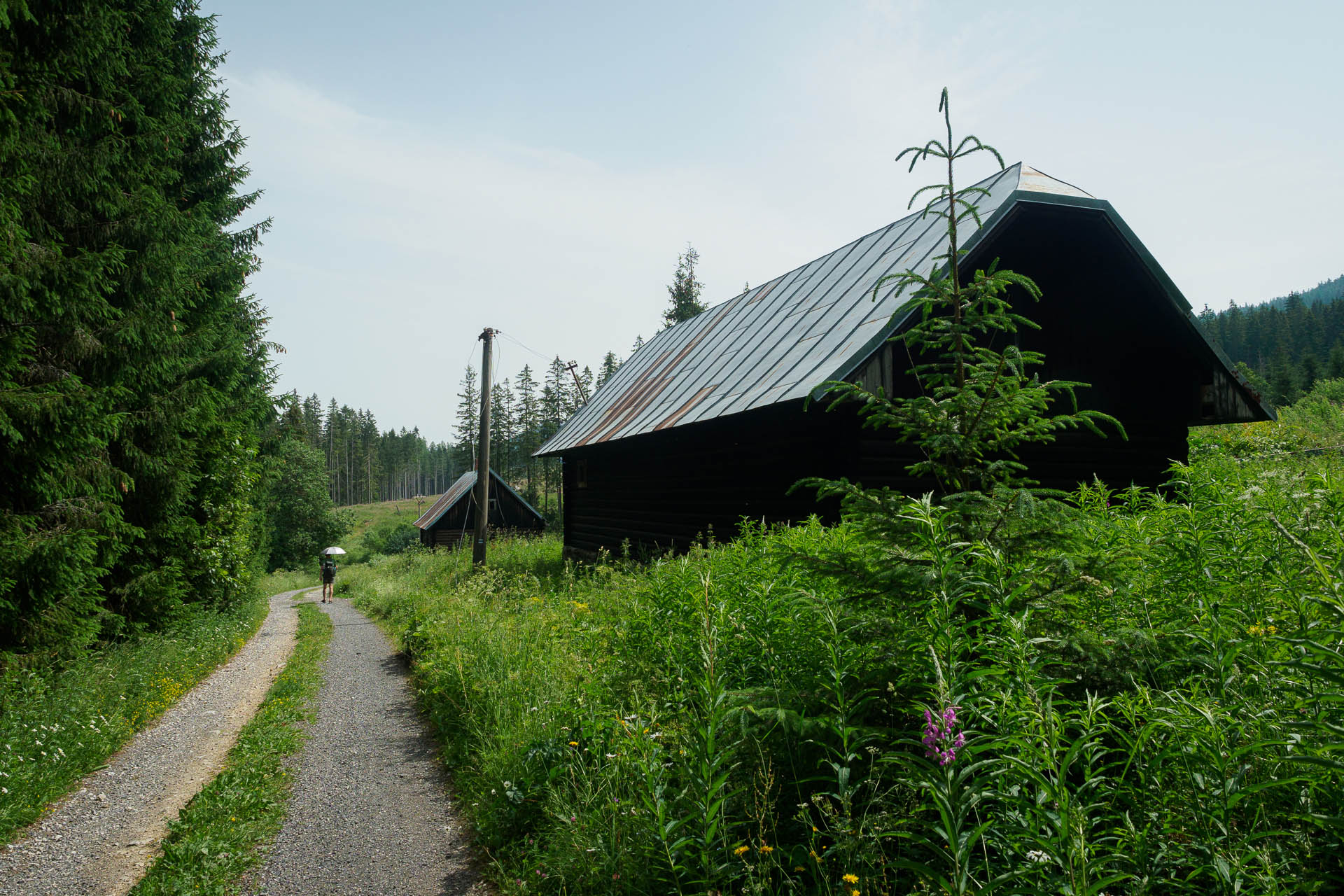 Kráľova hoľa z Liptovskej Tepličky (Nízke Tatry)