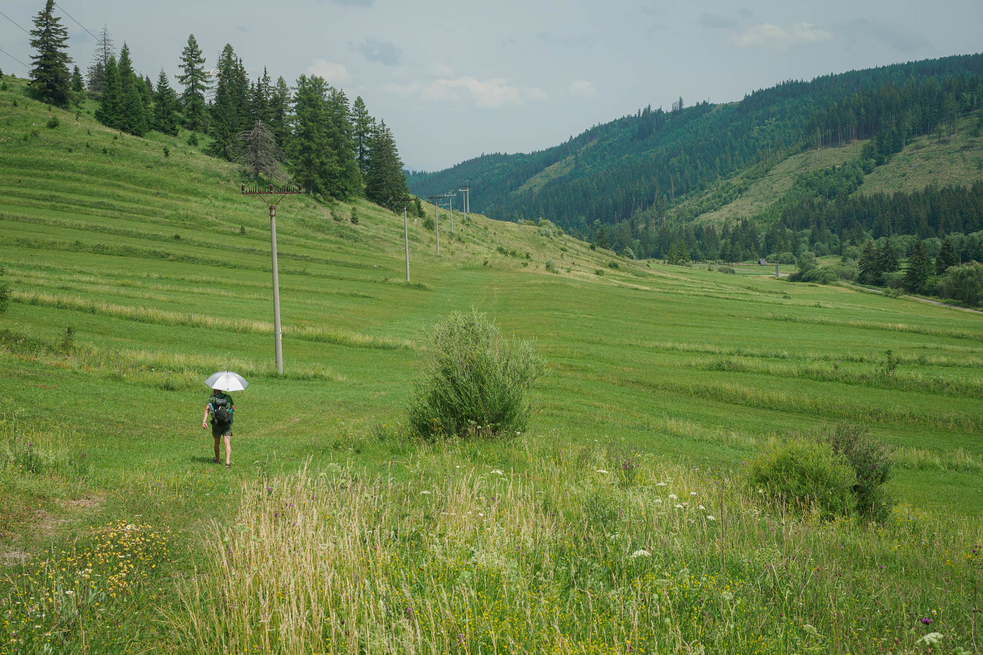 Kráľova hoľa z Liptovskej Tepličky (Nízke Tatry)