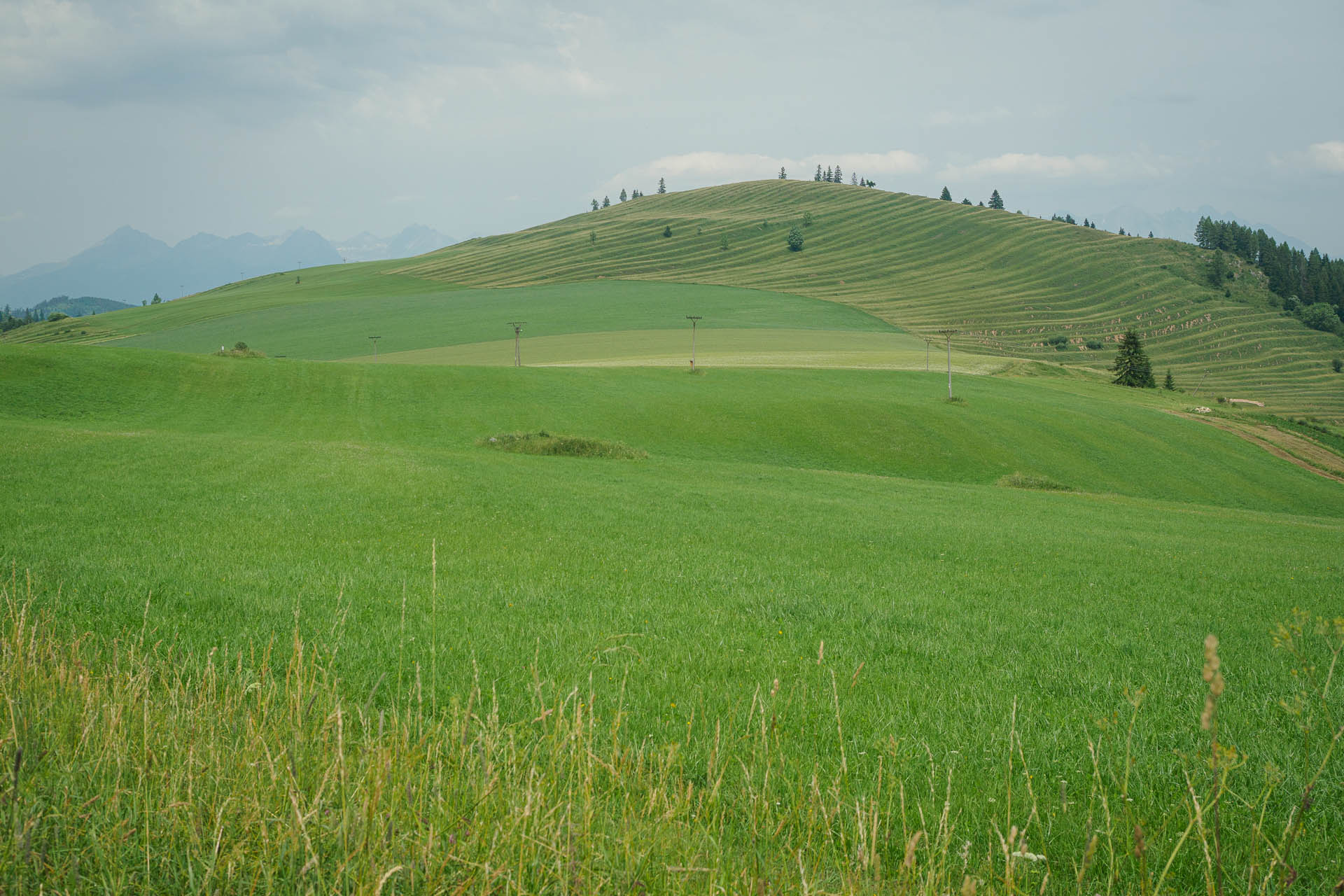 Kráľova hoľa z Liptovskej Tepličky (Nízke Tatry)