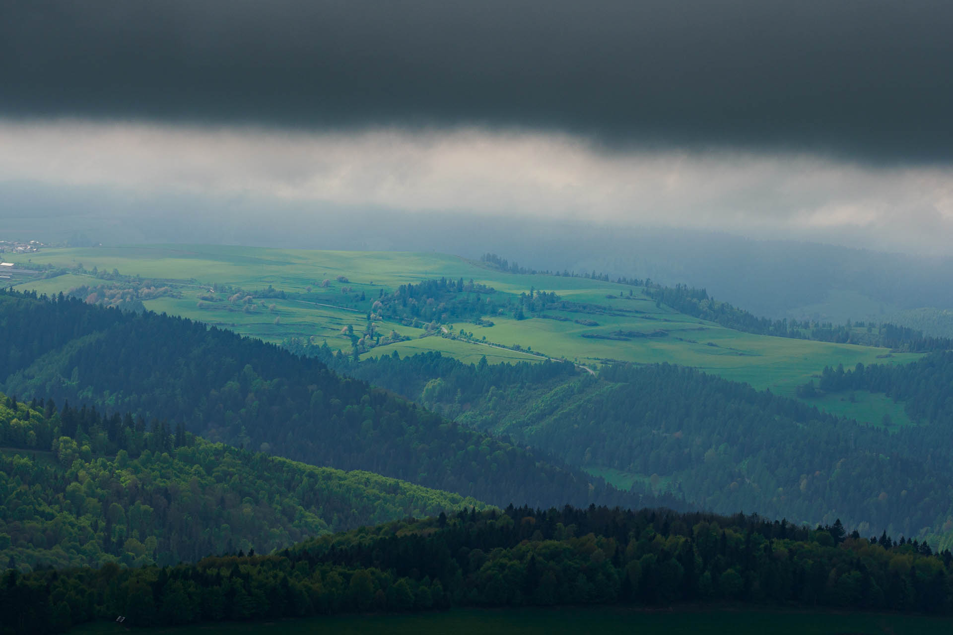 Smrekovica z Vyšného Slavkova (Branisko a Bachureň)