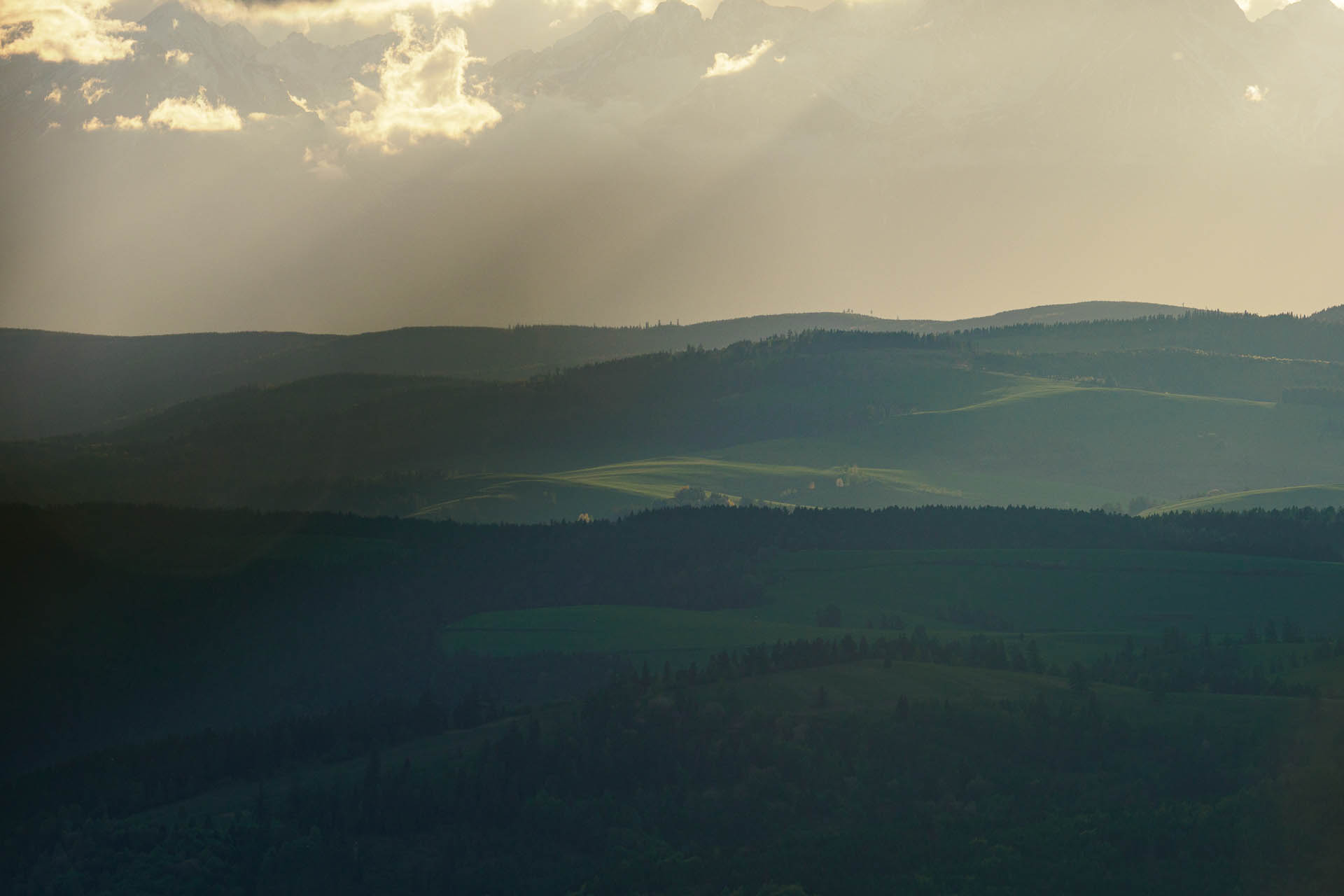 Smrekovica z Vyšného Slavkova (Branisko a Bachureň)