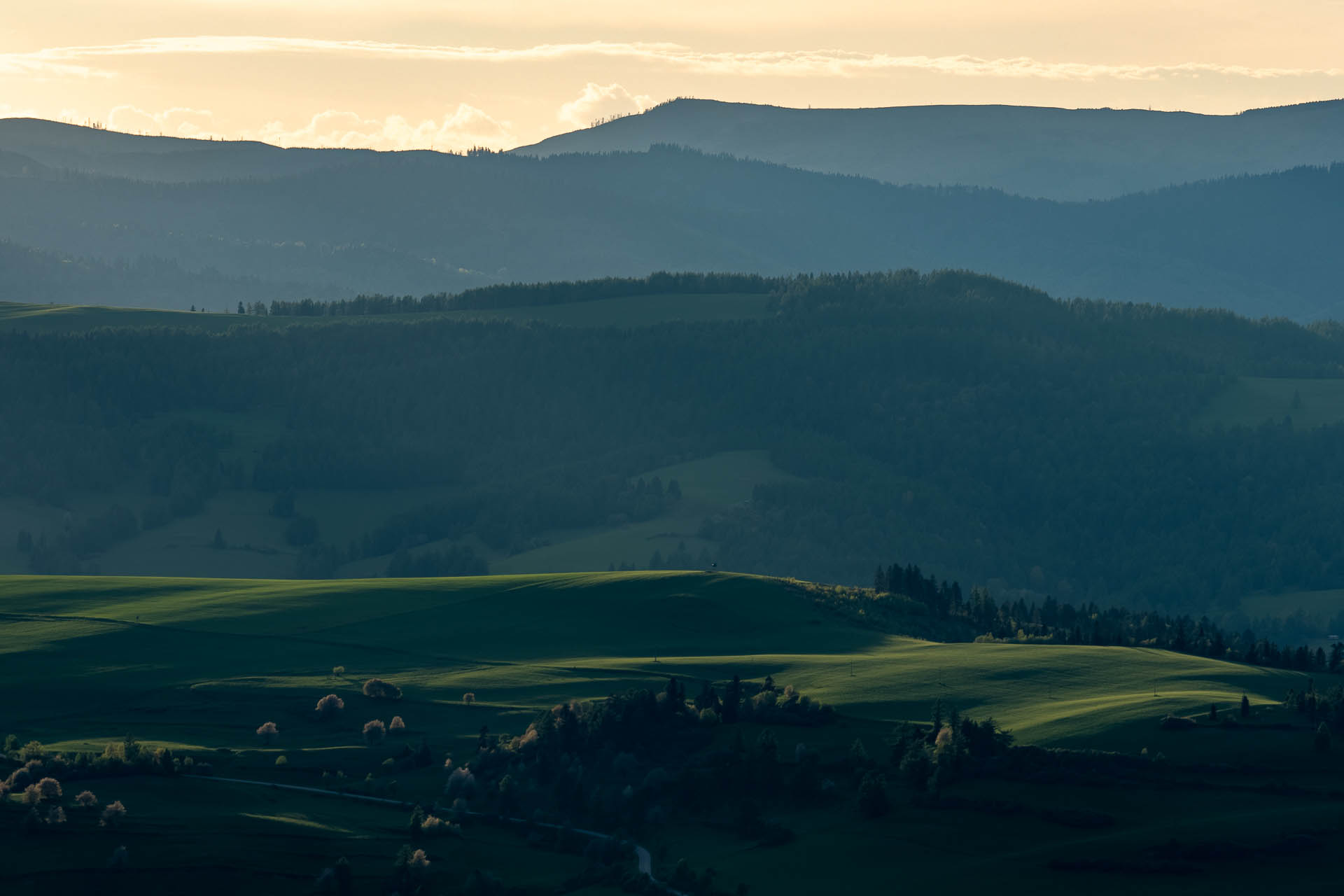 Smrekovica z Vyšného Slavkova (Branisko a Bachureň)