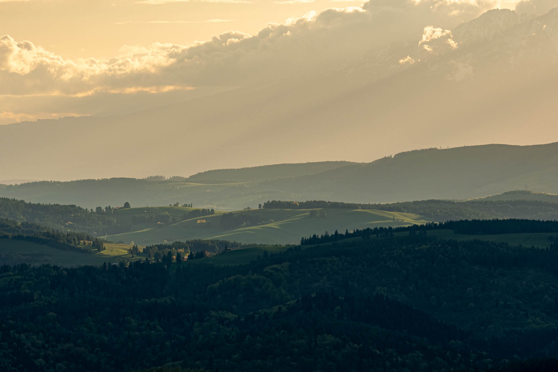 Smrekovica z Vyšného Slavkova (Branisko a Bachureň)