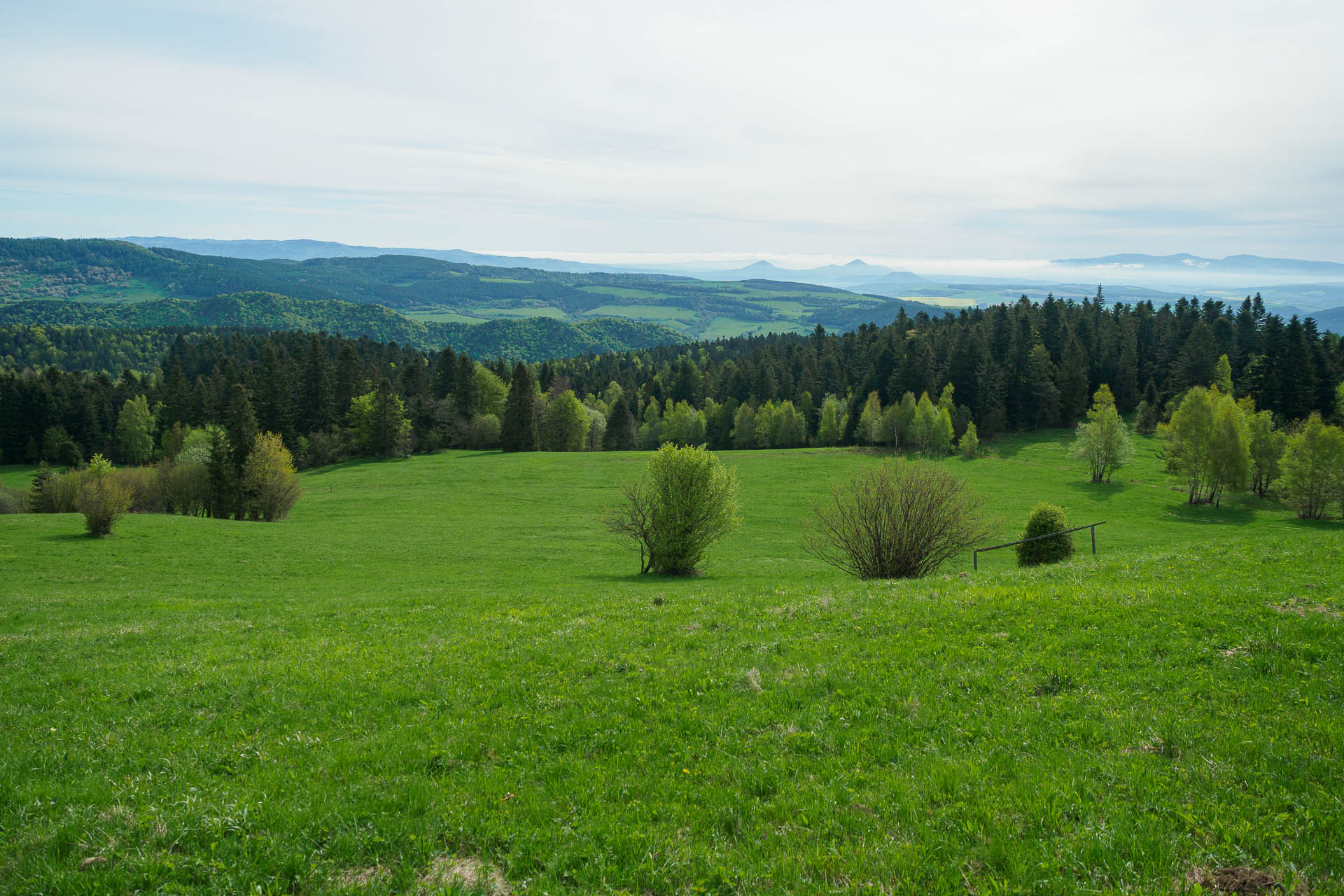 Smrekovica z Vyšného Slavkova (Branisko a Bachureň)