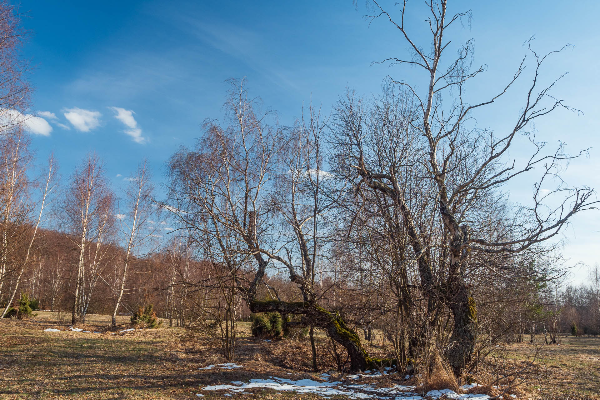 Vyhliadka v Zádieli z Hačavy (Slovenský kras)