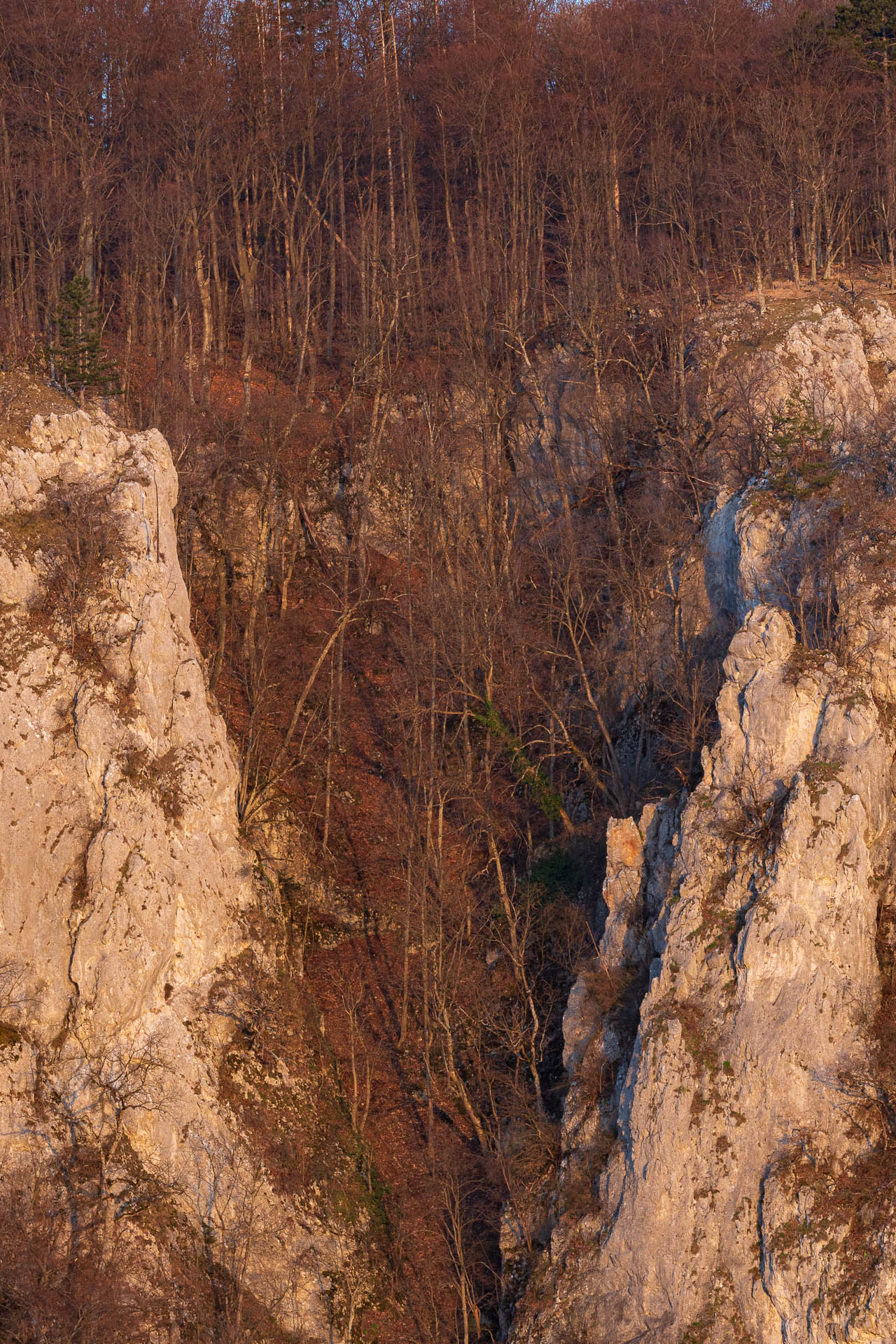 Vyhliadka v Zádieli z Hačavy (Slovenský kras)