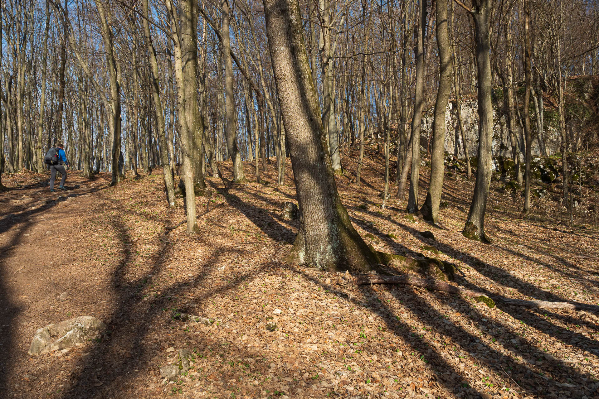 Vyhliadka v Zádieli z Hačavy (Slovenský kras)