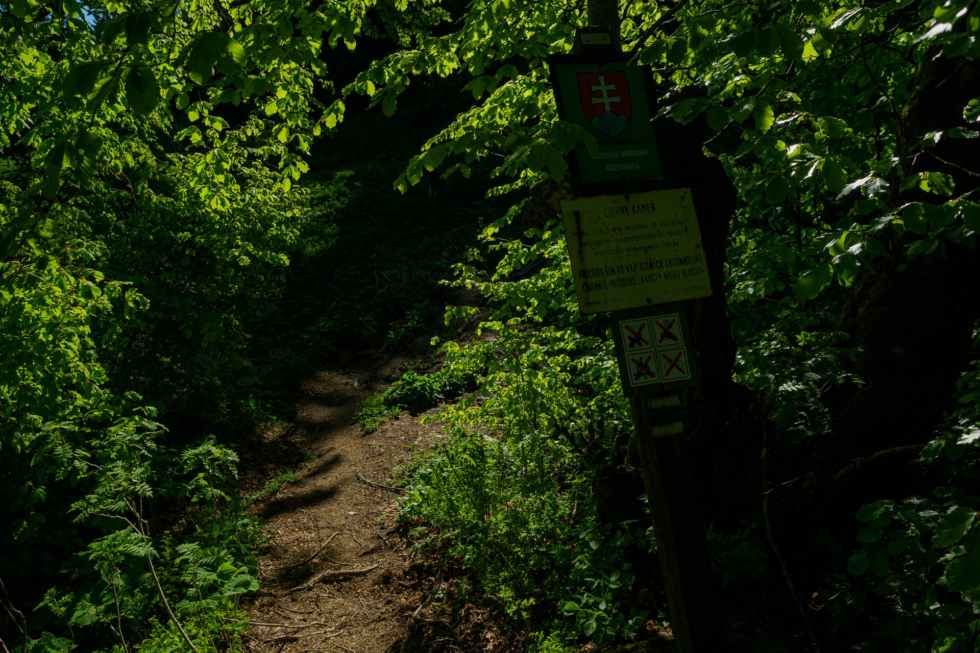 Z Chaty pod Borišovom na Rakytov (Veľká Fatra)