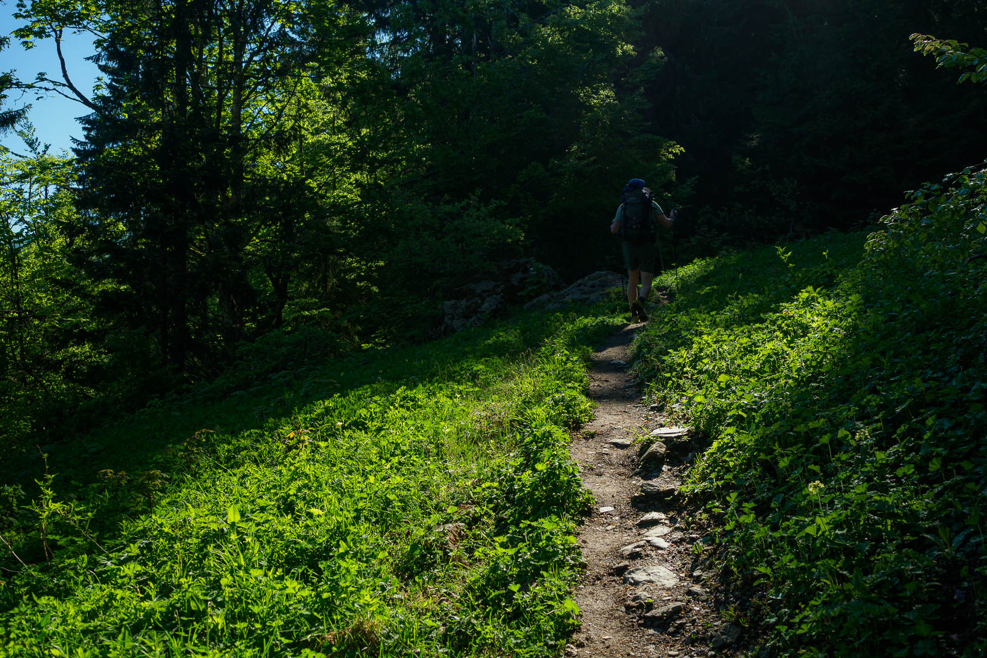 Z Chaty pod Borišovom na Rakytov (Veľká Fatra)