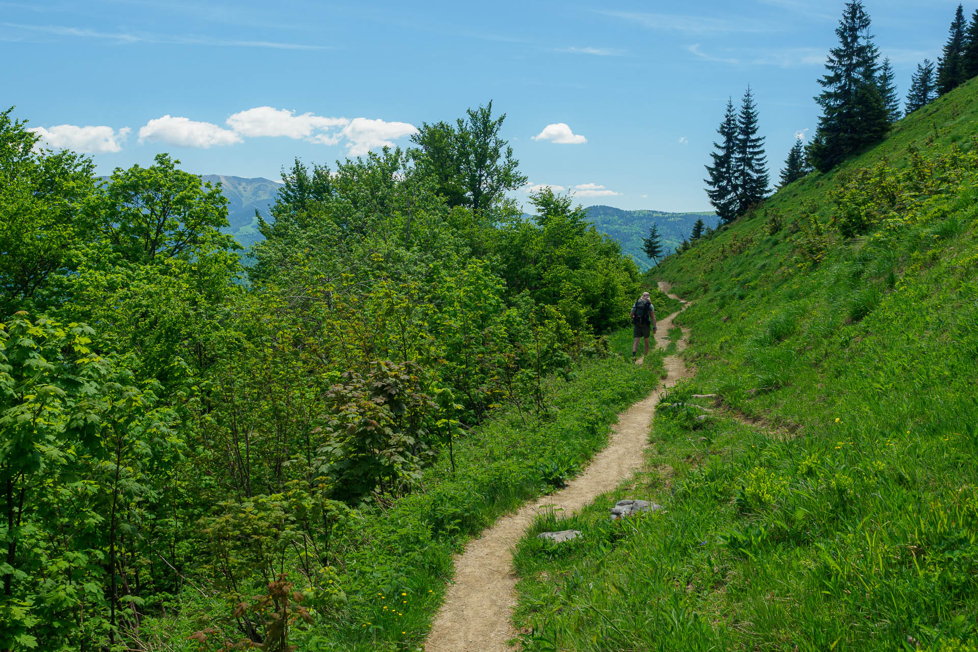 Z Chaty pod Borišovom na Rakytov (Veľká Fatra)