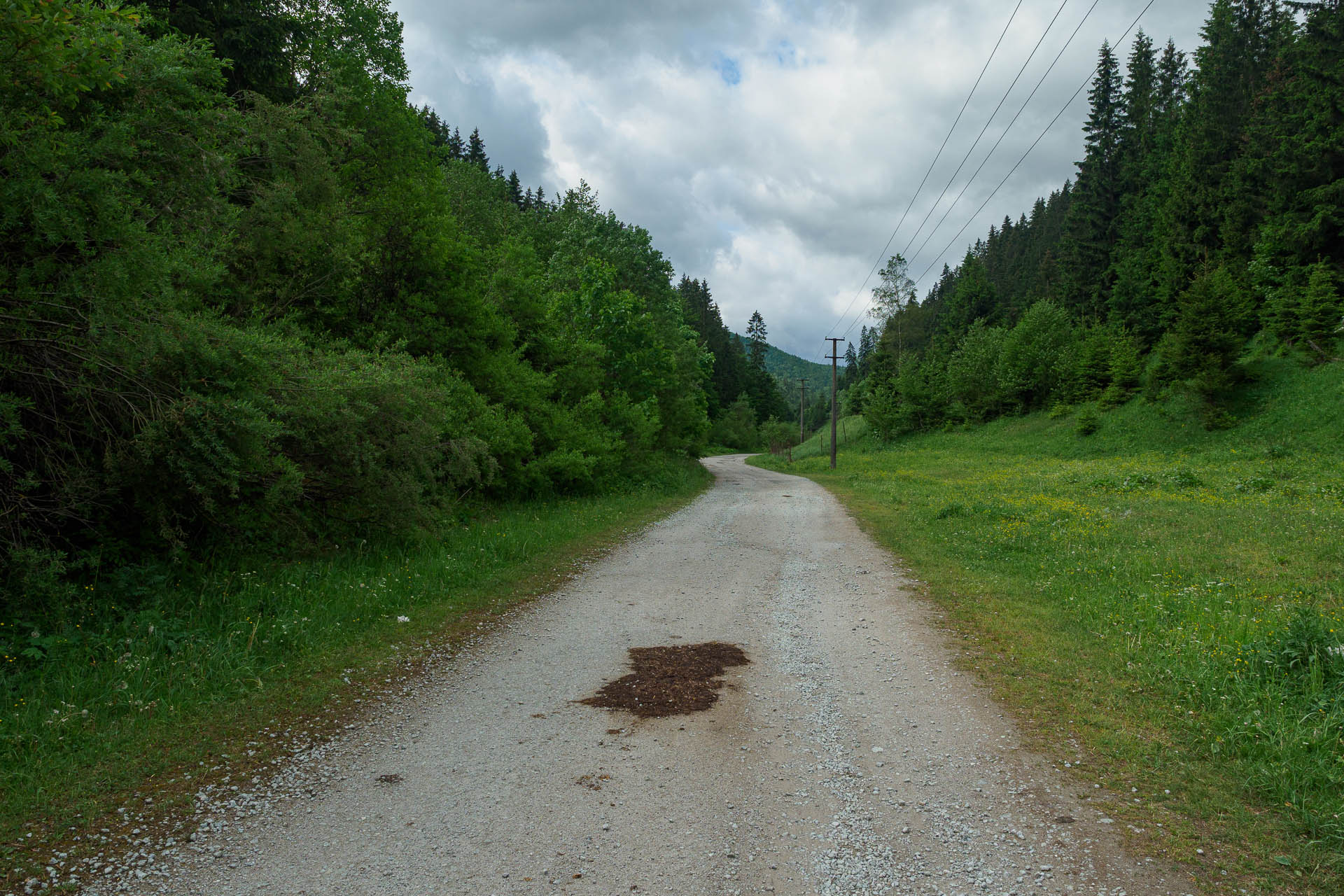 Z Vyšnej Revúcej cez Krížnu a Ostredok na Salaš pod Suchým vrchom (Veľká Fatra)