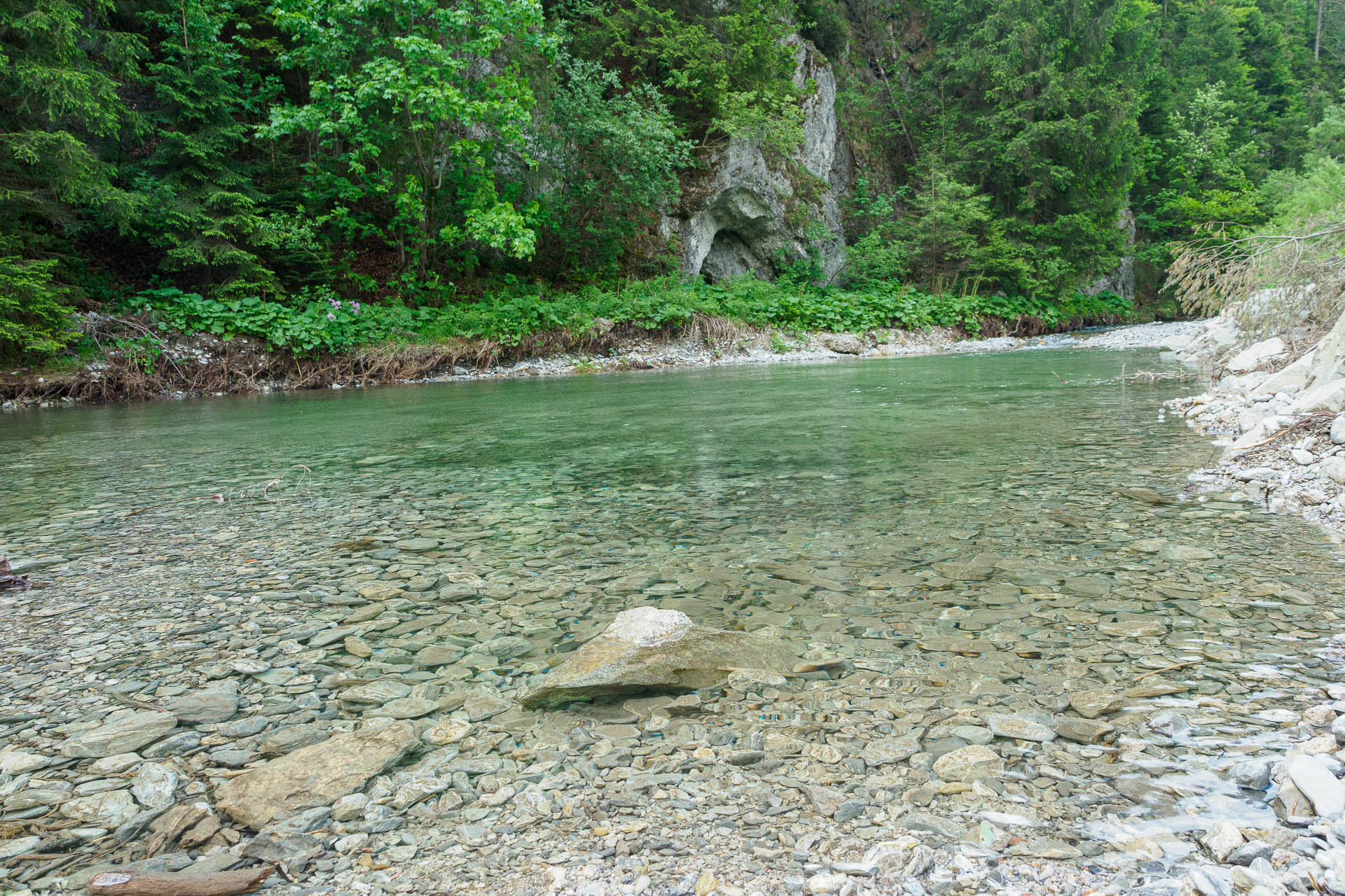 Z Vyšnej Revúcej cez Krížnu a Ostredok na Salaš pod Suchým vrchom (Veľká Fatra)