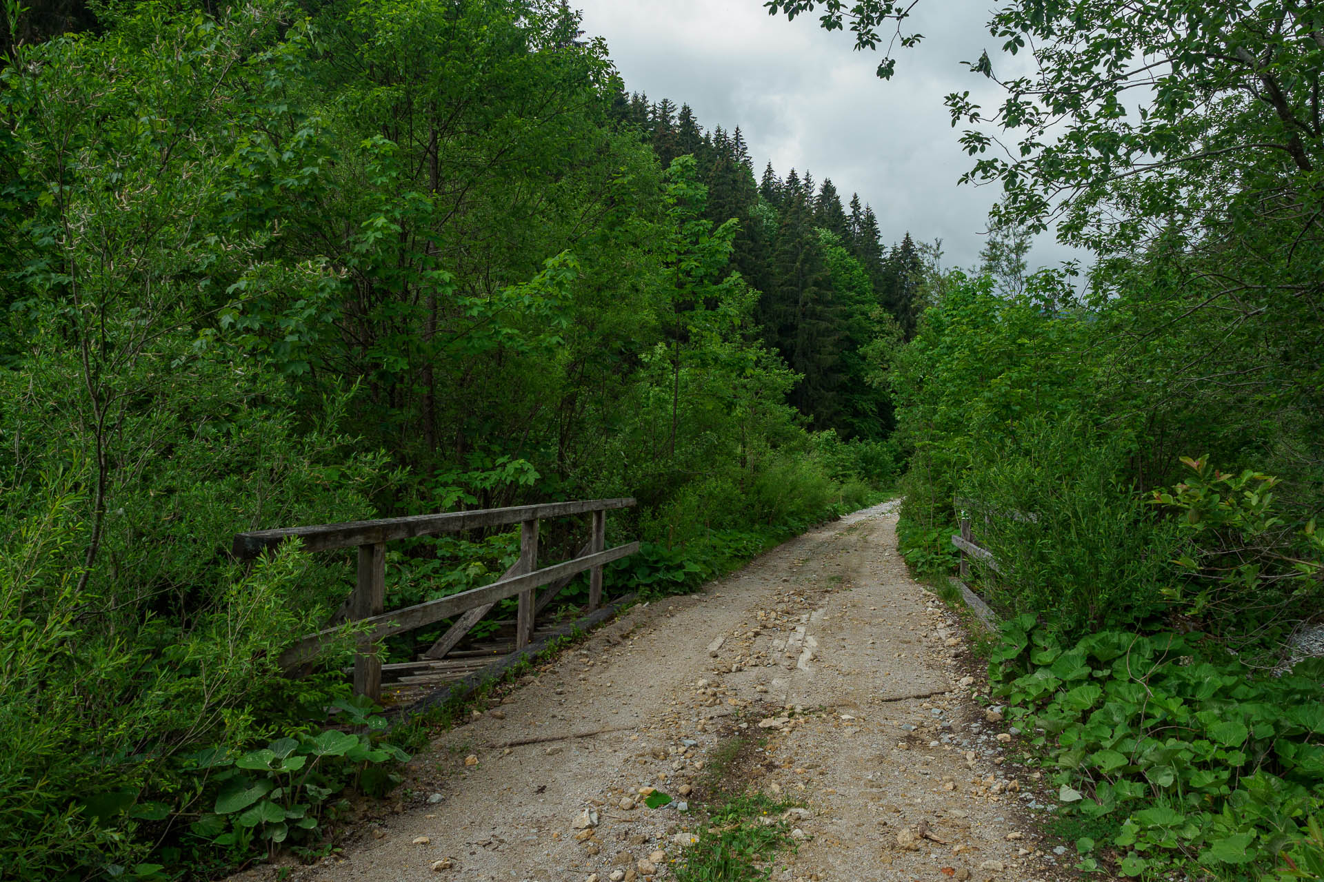 Z Vyšnej Revúcej cez Krížnu a Ostredok na Salaš pod Suchým vrchom (Veľká Fatra)