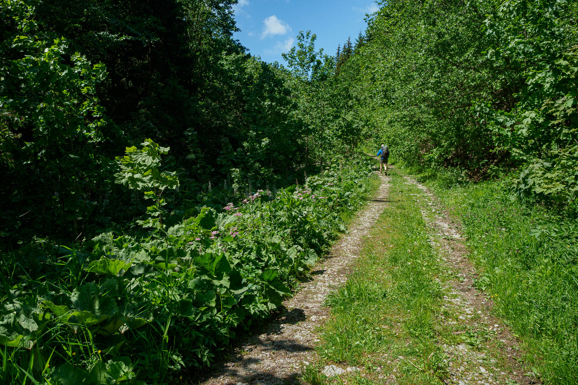 Z Vyšnej Revúcej cez Krížnu a Ostredok na Salaš pod Suchým vrchom (Veľká Fatra)