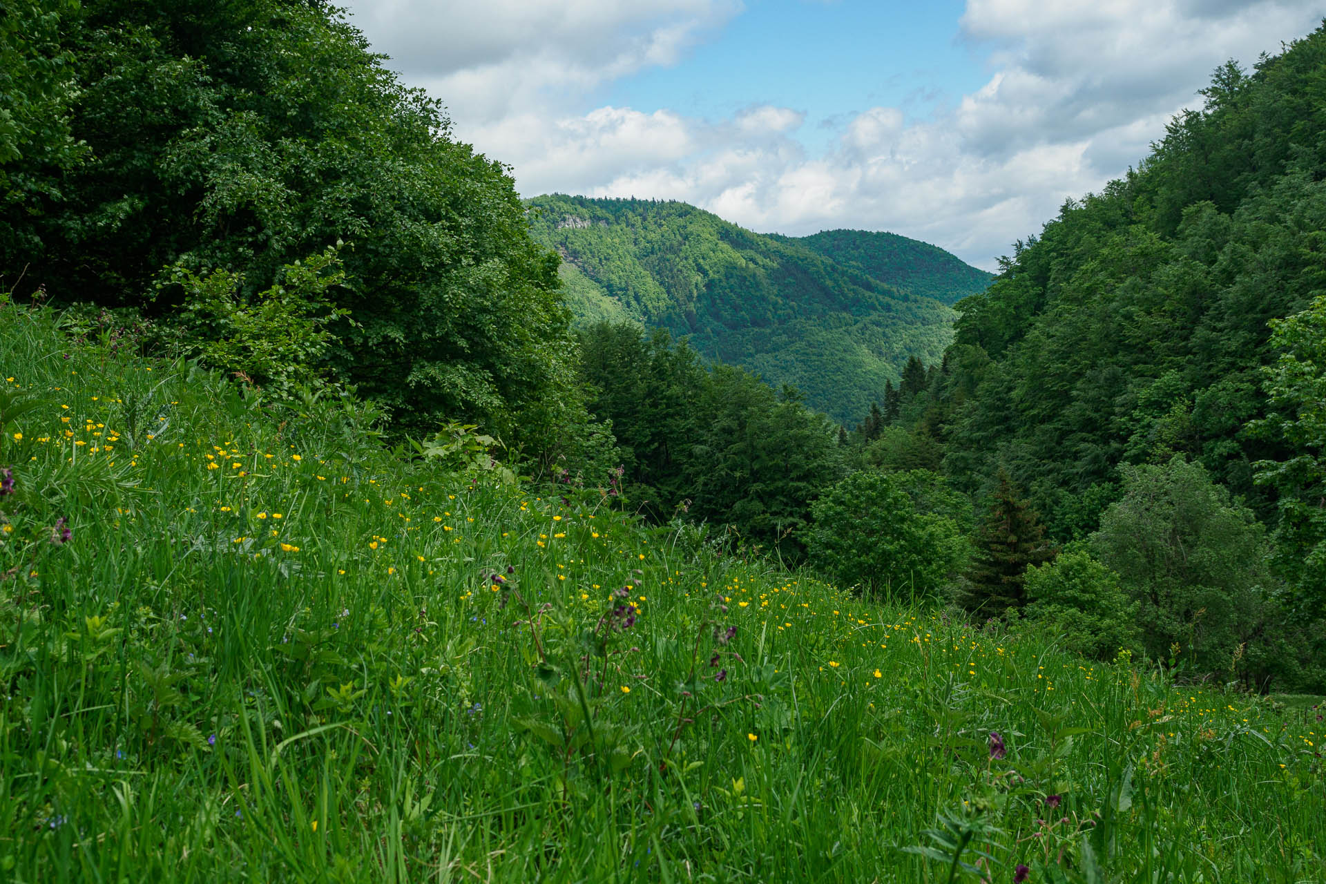 Z Vyšnej Revúcej cez Krížnu a Ostredok na Salaš pod Suchým vrchom (Veľká Fatra)