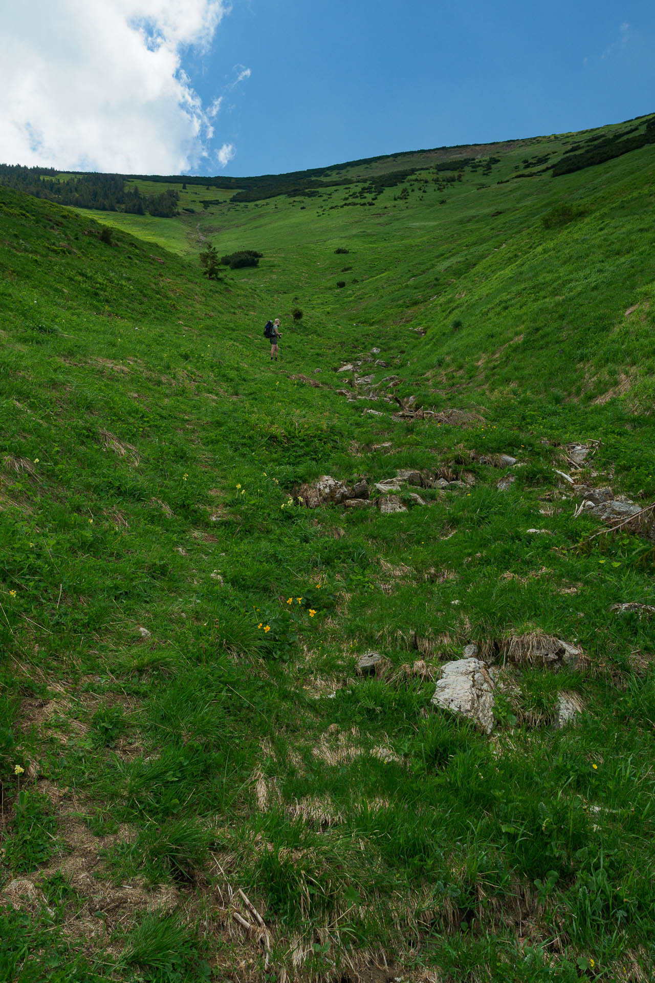 Z Vyšnej Revúcej cez Krížnu a Ostredok na Salaš pod Suchým vrchom (Veľká Fatra)