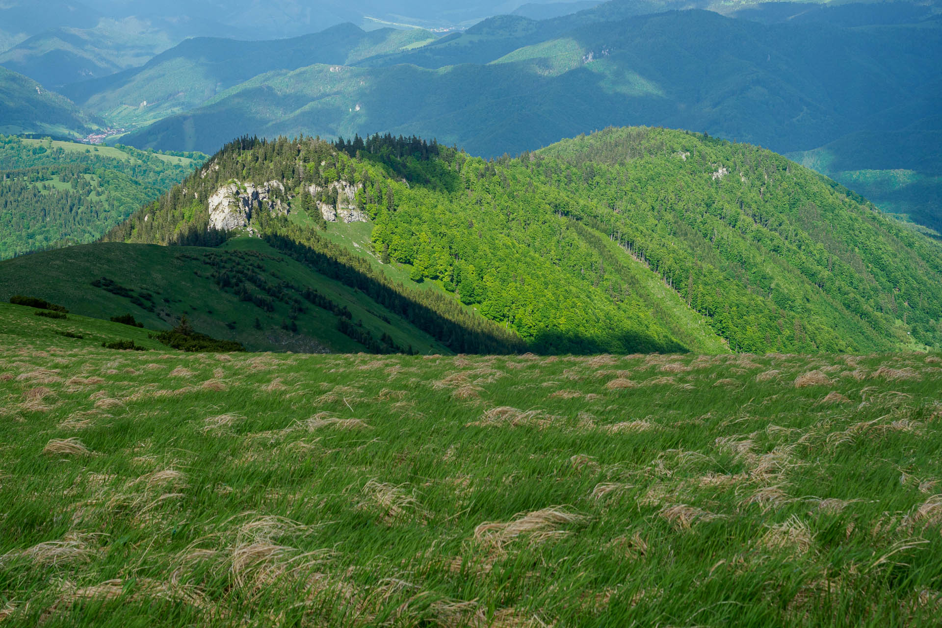 Z Vyšnej Revúcej cez Krížnu a Ostredok na Salaš pod Suchým vrchom (Veľká Fatra)