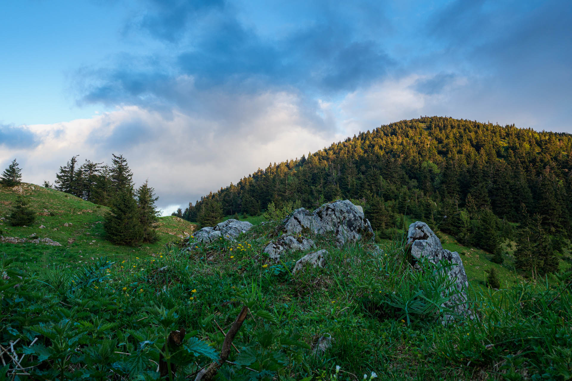 Z Vyšnej Revúcej cez Krížnu a Ostredok na Salaš pod Suchým vrchom (Veľká Fatra)