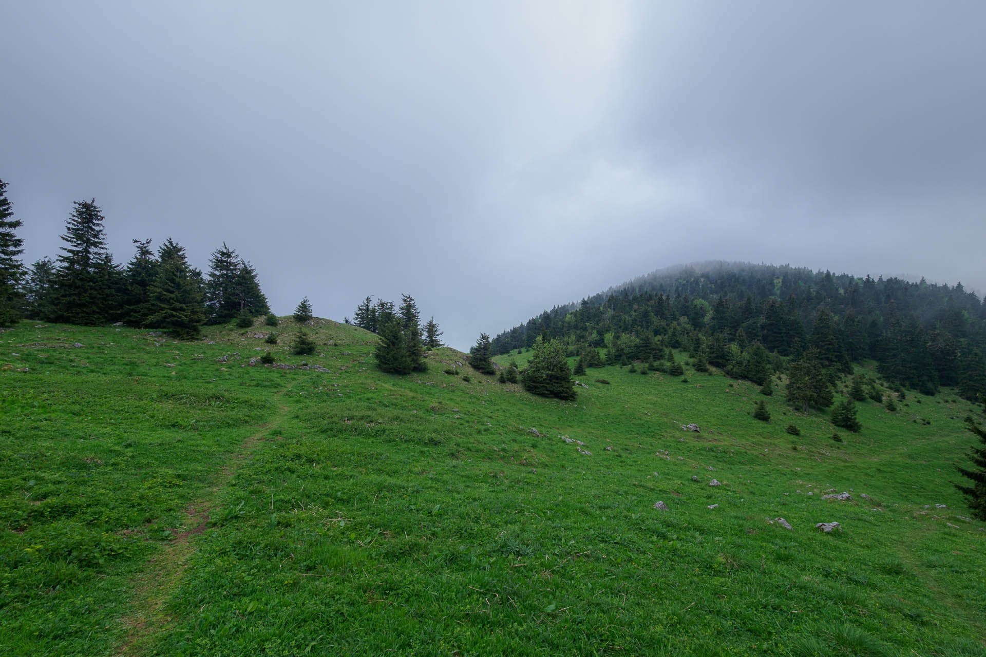 Zo Salaša pod Suchým vrchom cez Ploskú na Borišov (Veľká Fatra)