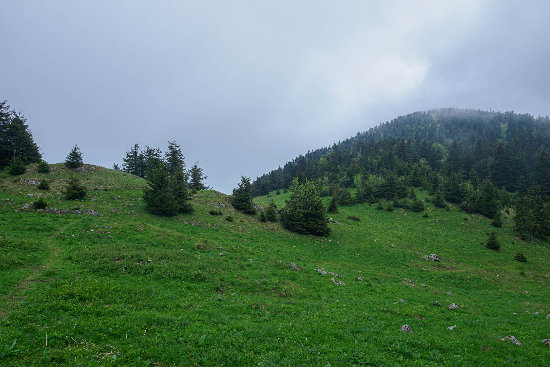 Zo Salaša pod Suchým vrchom cez Ploskú na Borišov (Veľká Fatra)