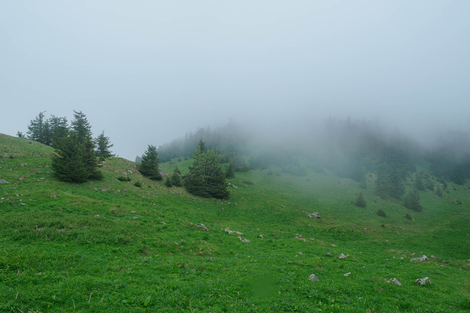 Zo Salaša pod Suchým vrchom cez Ploskú na Borišov (Veľká Fatra)