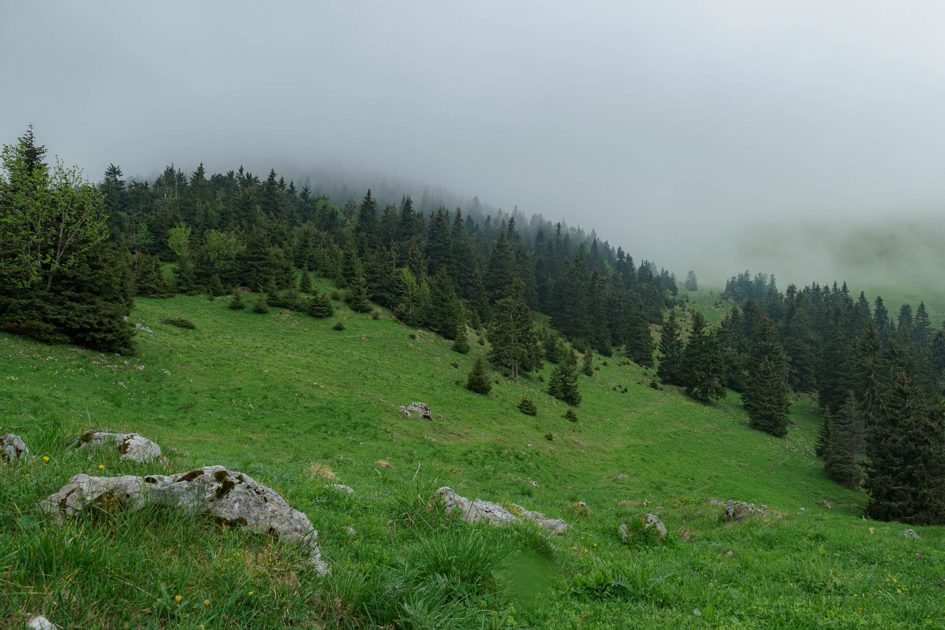 Zo Salaša pod Suchým vrchom cez Ploskú na Borišov (Veľká Fatra)