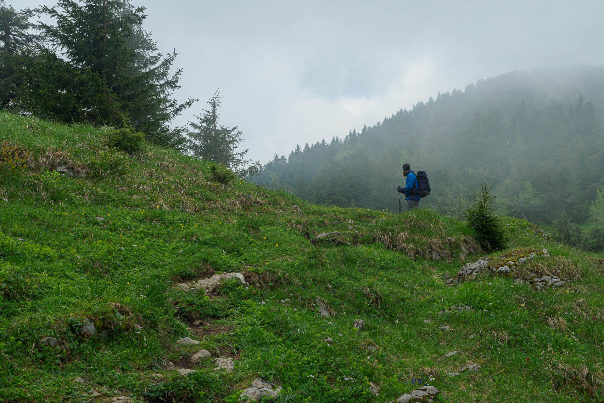 Zo Salaša pod Suchým vrchom cez Ploskú na Borišov (Veľká Fatra)