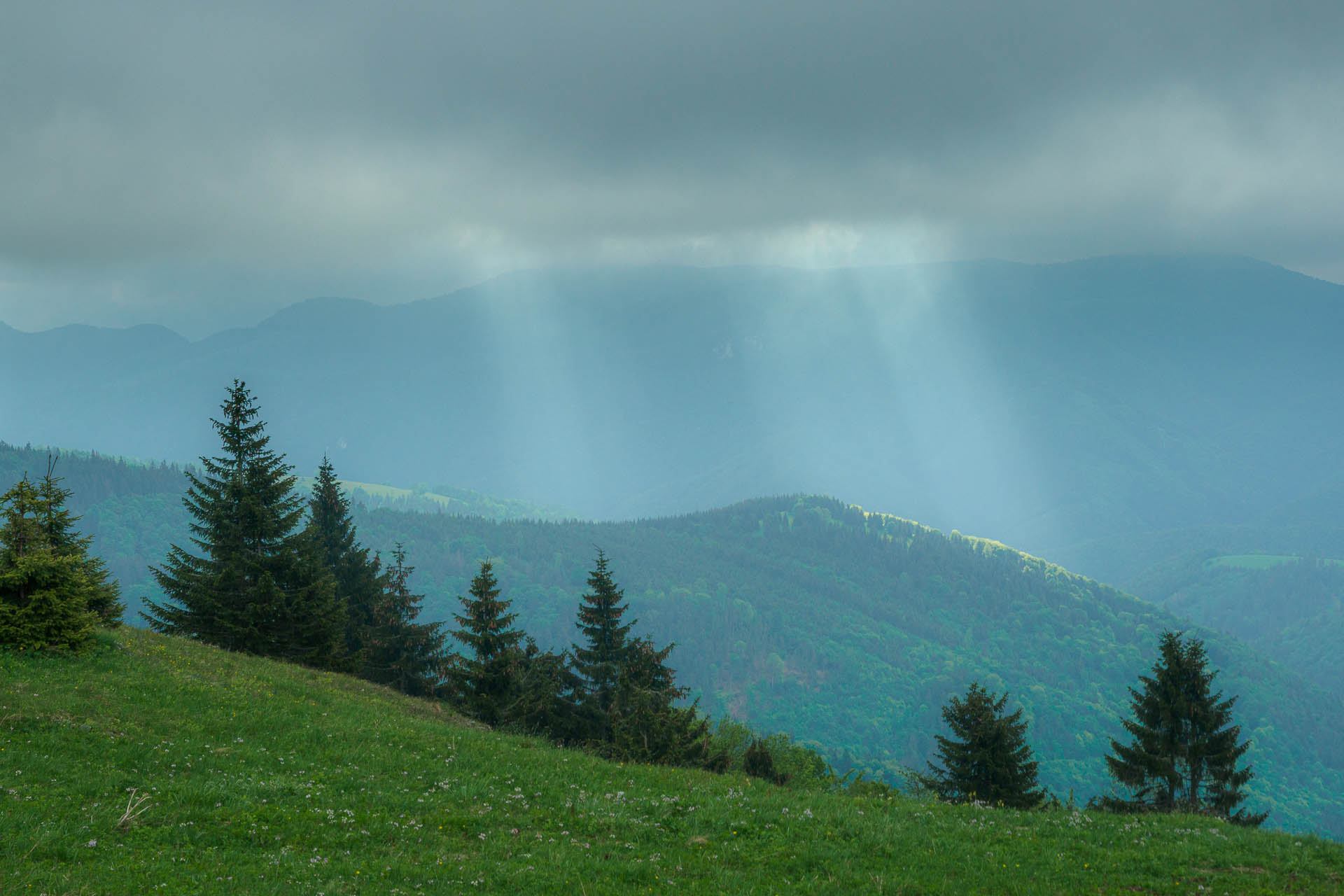 Zo Salaša pod Suchým vrchom cez Ploskú na Borišov (Veľká Fatra)