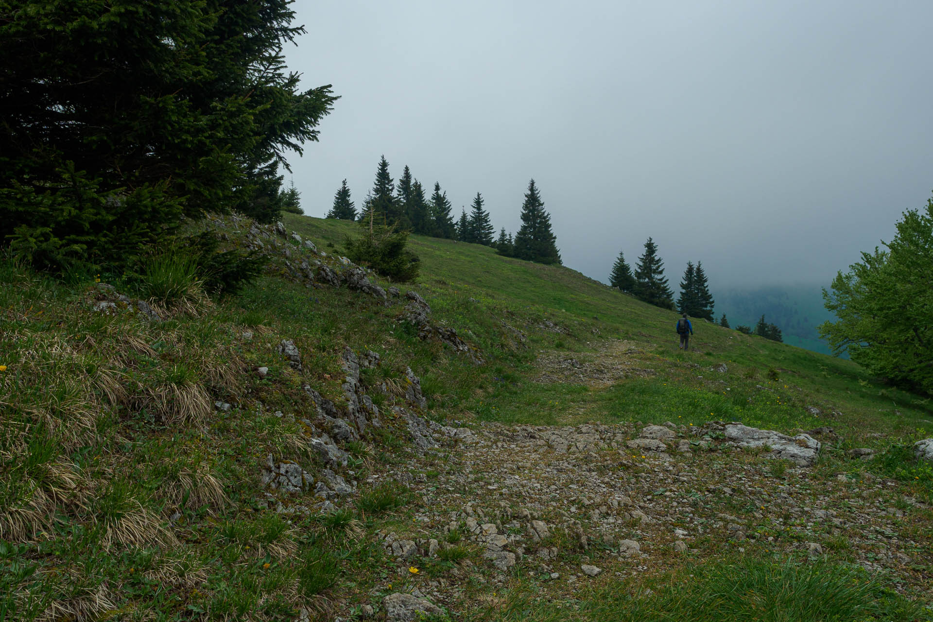 Zo Salaša pod Suchým vrchom cez Ploskú na Borišov (Veľká Fatra)