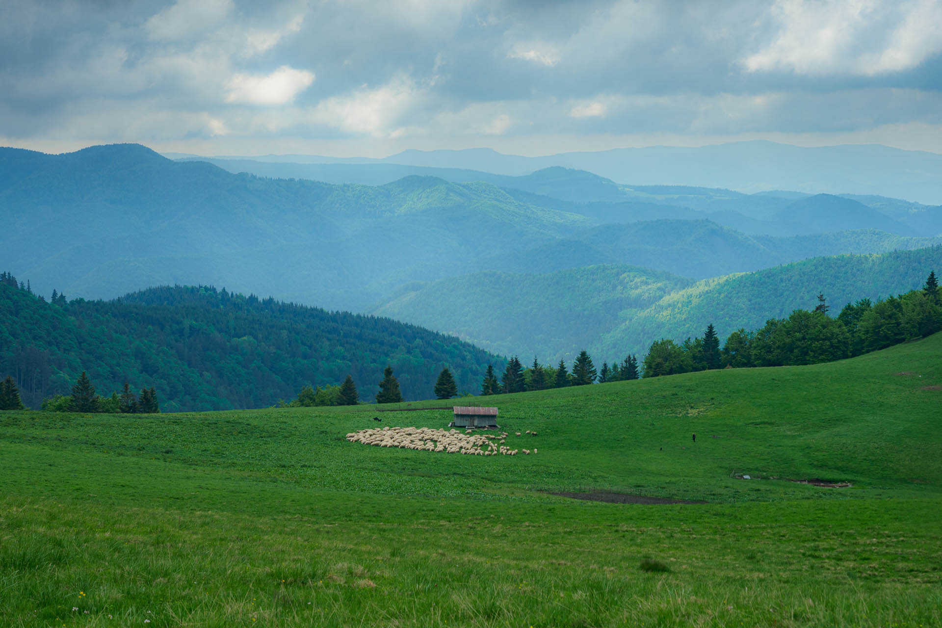 Zo Salaša pod Suchým vrchom cez Ploskú na Borišov (Veľká Fatra)