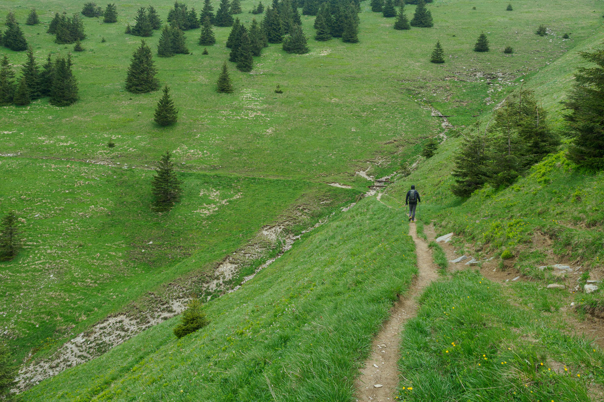 Zo Salaša pod Suchým vrchom cez Ploskú na Borišov (Veľká Fatra)