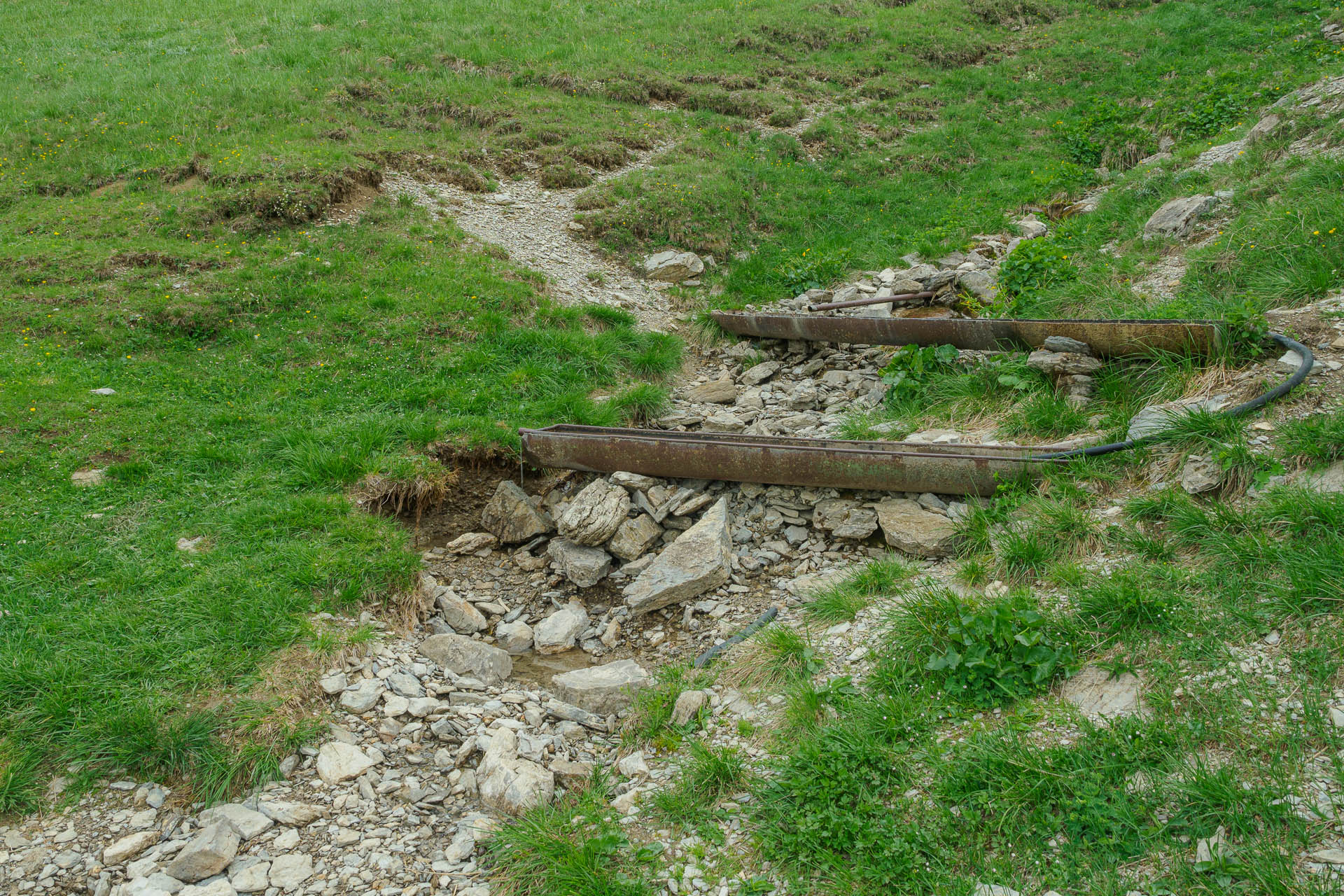 Zo Salaša pod Suchým vrchom cez Ploskú na Borišov (Veľká Fatra)