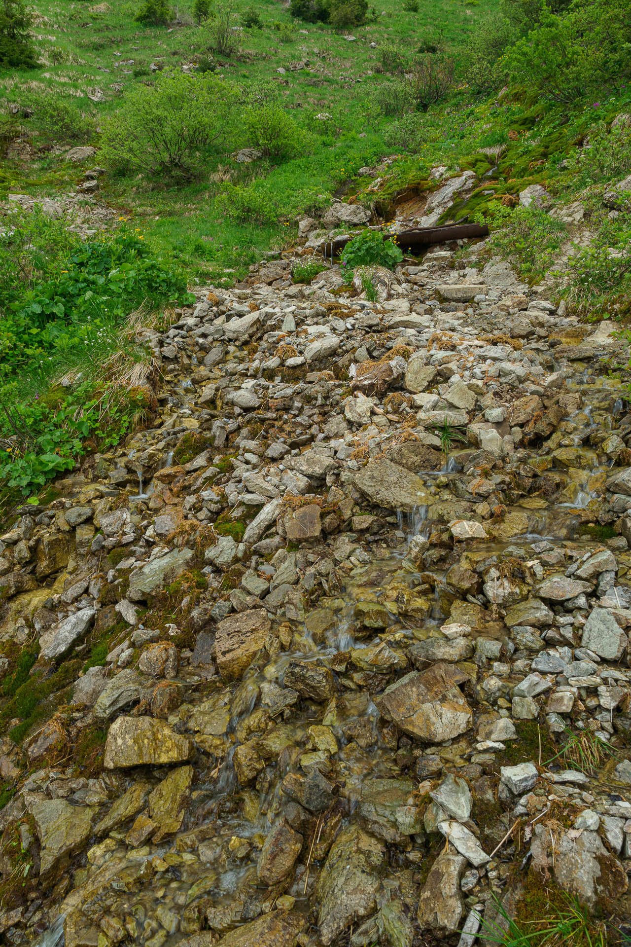 Zo Salaša pod Suchým vrchom cez Ploskú na Borišov (Veľká Fatra)