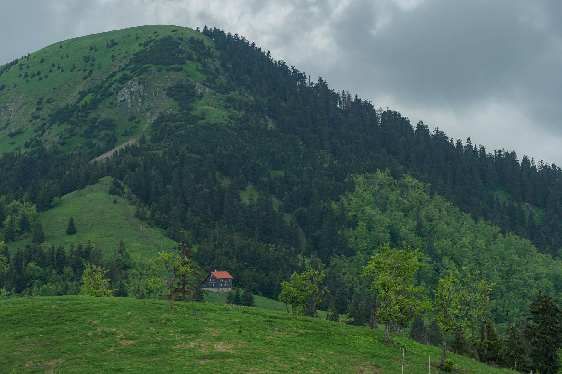 Zo Salaša pod Suchým vrchom cez Ploskú na Borišov (Veľká Fatra)