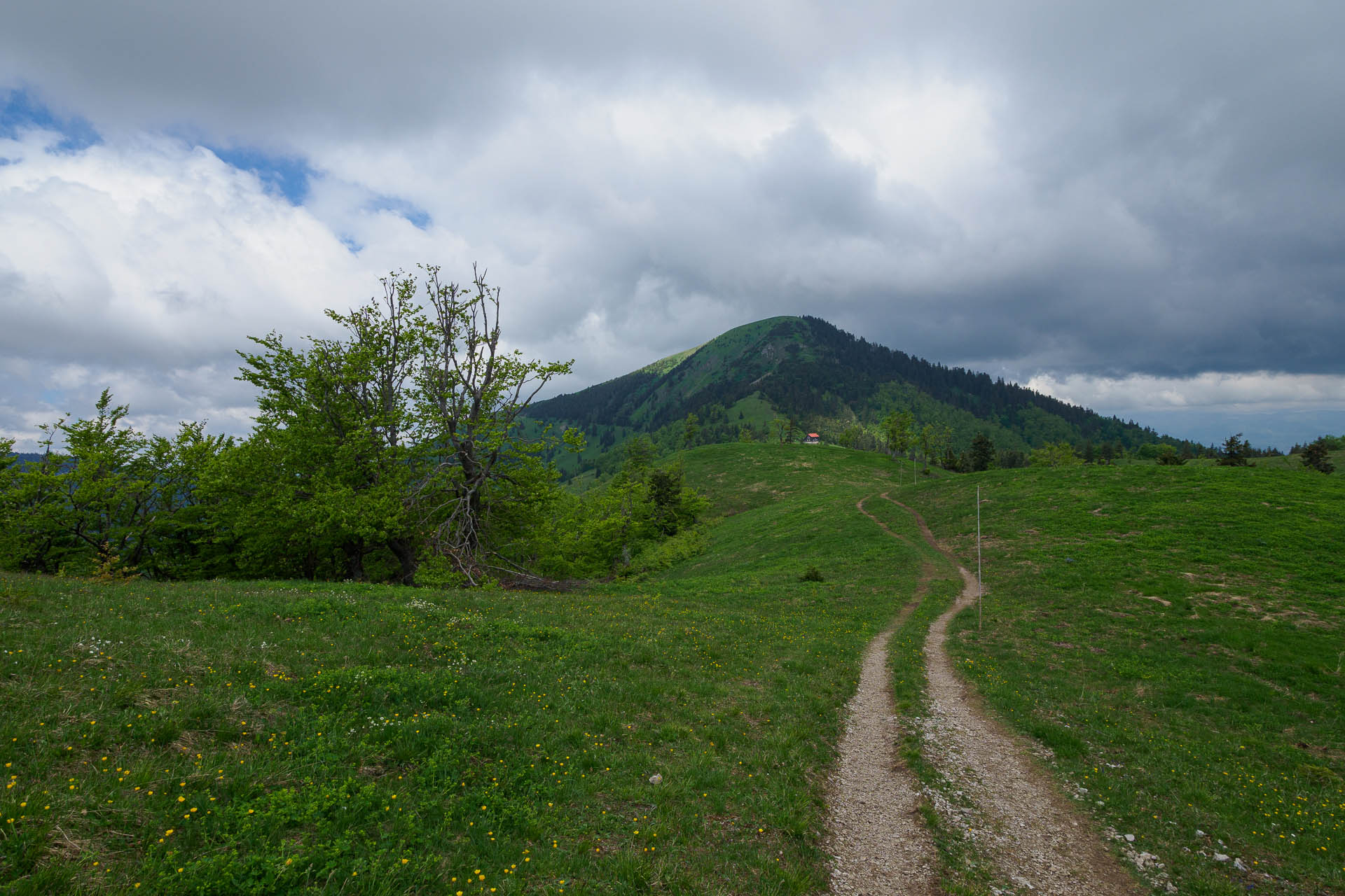 Zo Salaša pod Suchým vrchom cez Ploskú na Borišov (Veľká Fatra)