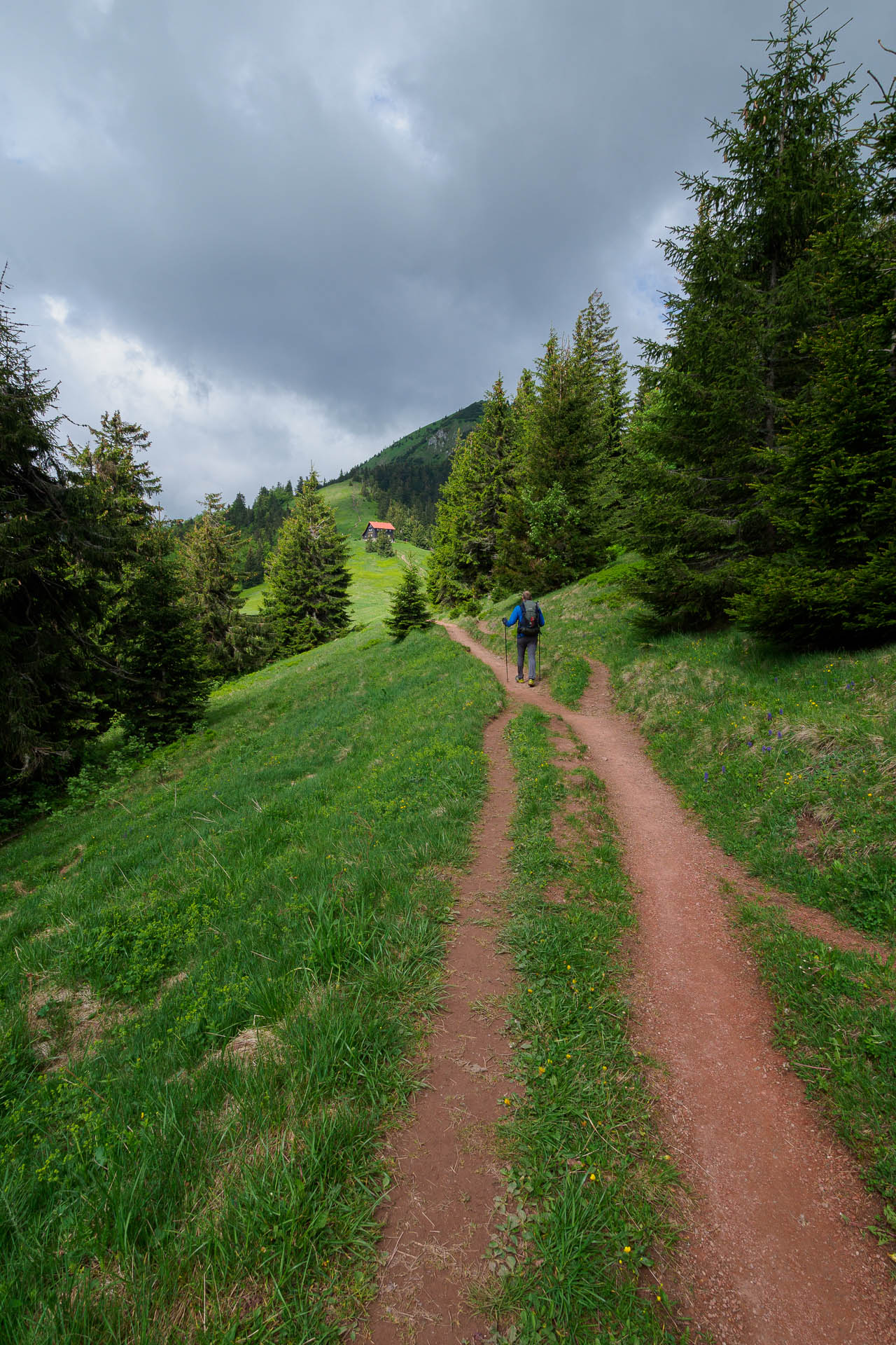 Zo Salaša pod Suchým vrchom cez Ploskú na Borišov (Veľká Fatra)