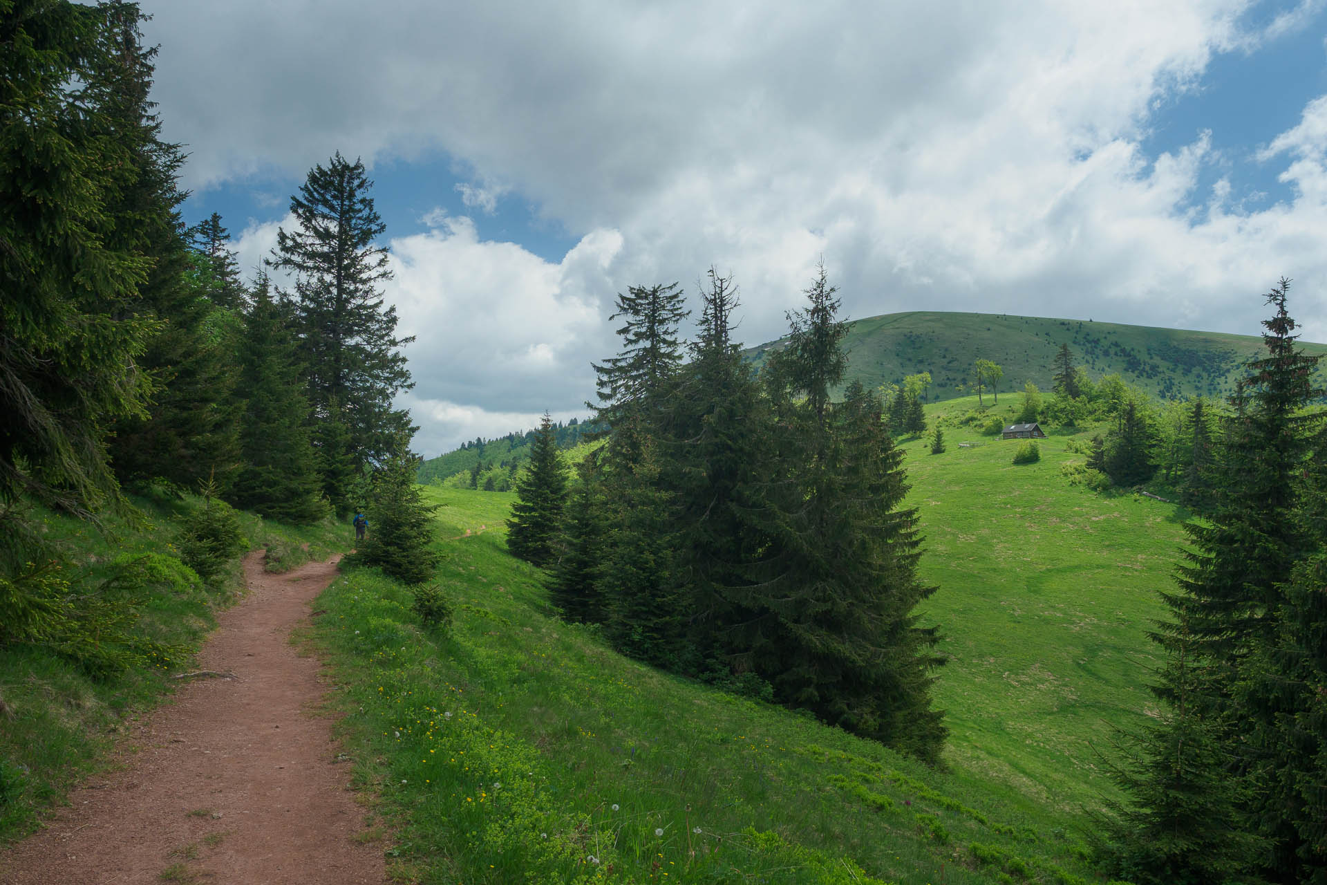 Zo Salaša pod Suchým vrchom cez Ploskú na Borišov (Veľká Fatra)