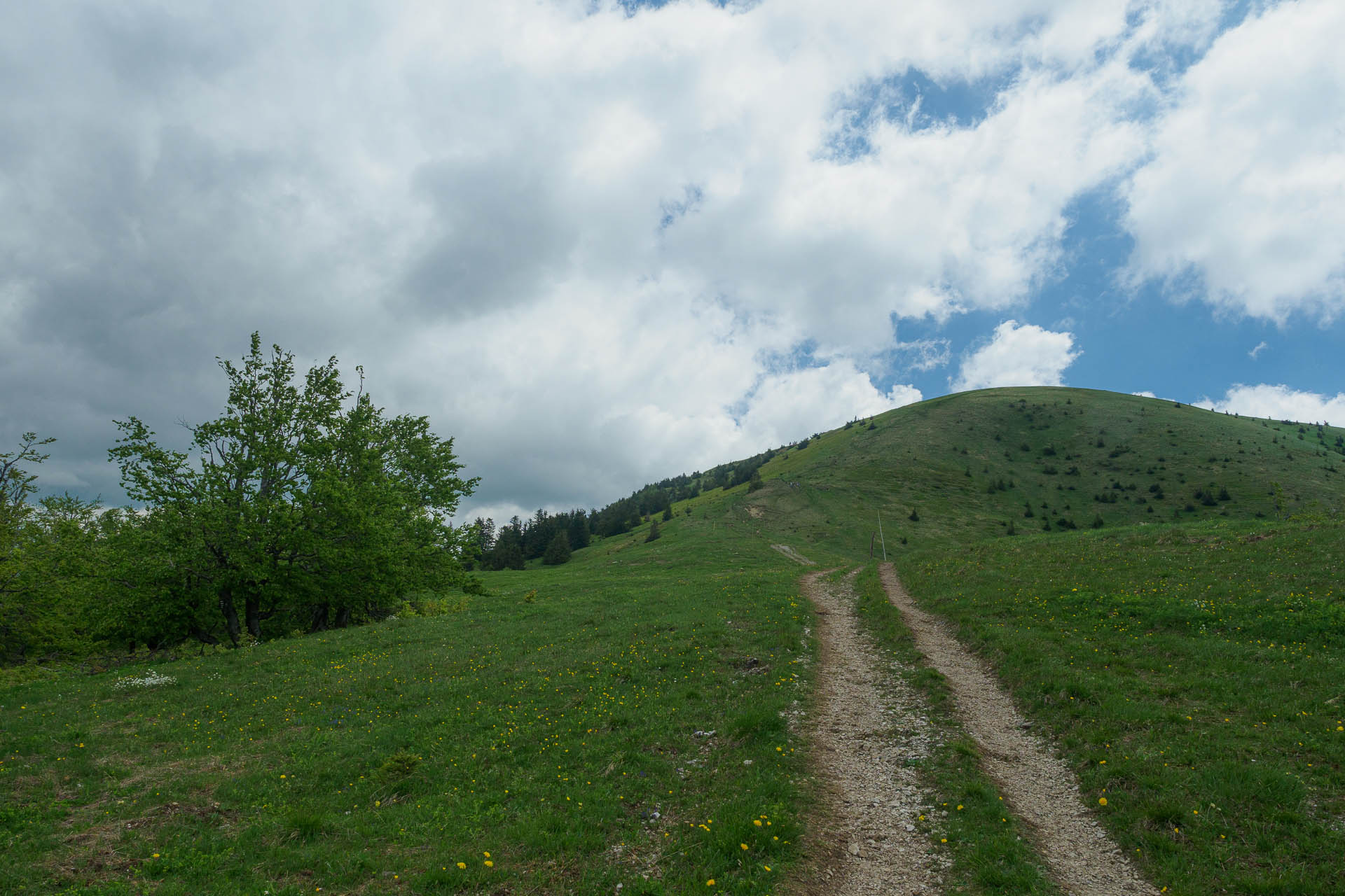 Zo Salaša pod Suchým vrchom cez Ploskú na Borišov (Veľká Fatra)