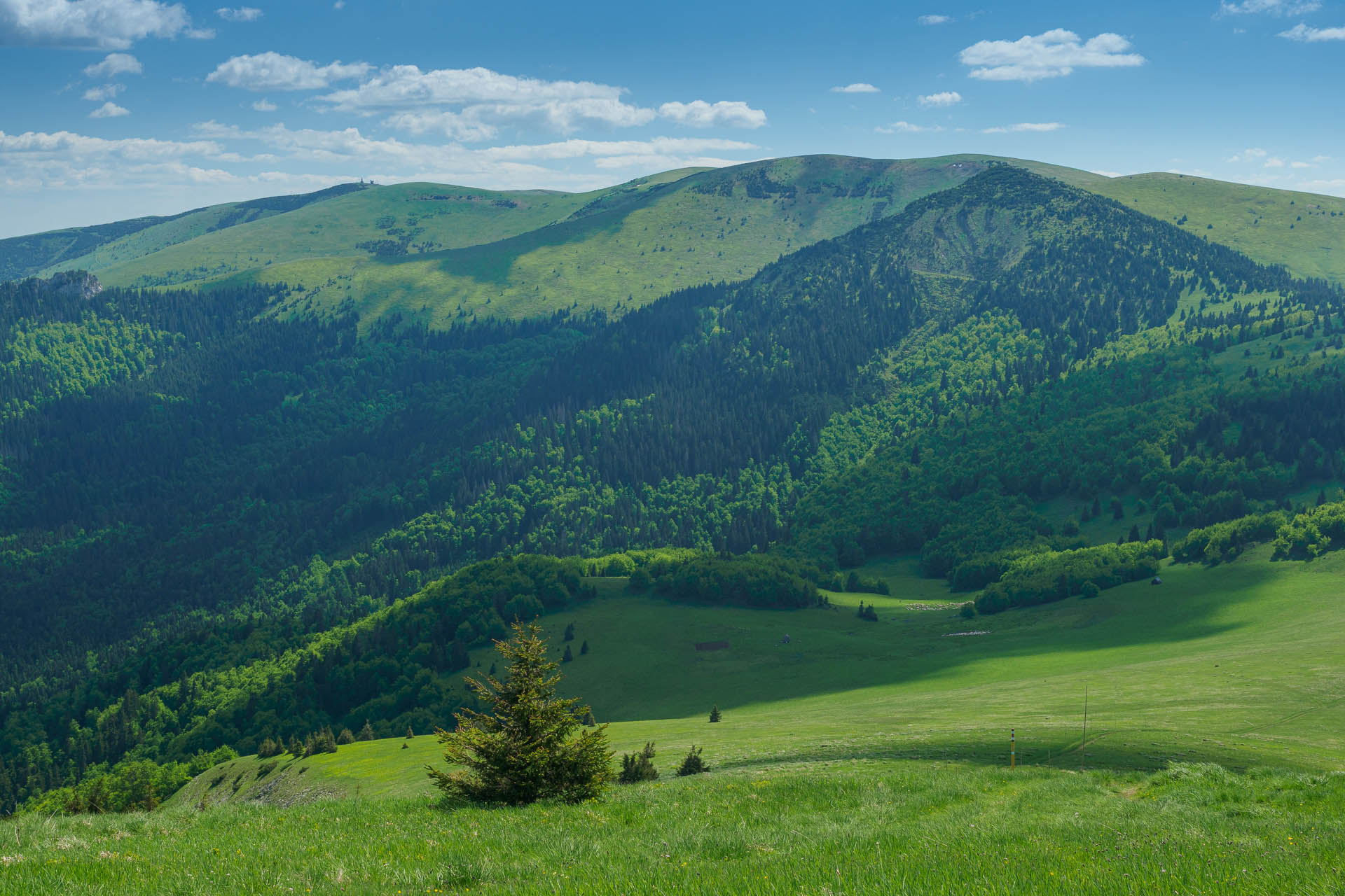 Zo Salaša pod Suchým vrchom cez Ploskú na Borišov (Veľká Fatra)