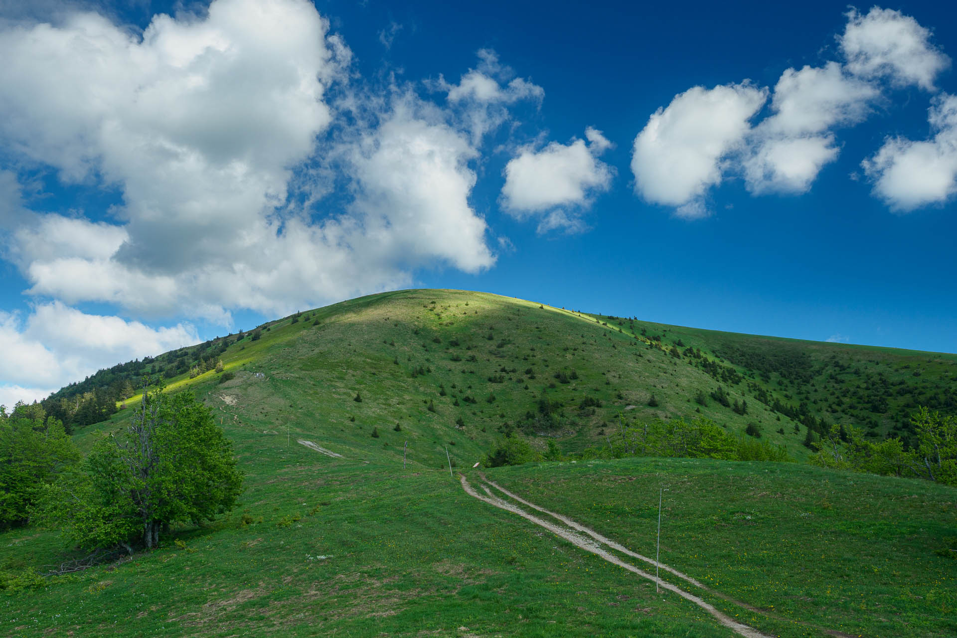 Zo Salaša pod Suchým vrchom cez Ploskú na Borišov (Veľká Fatra)